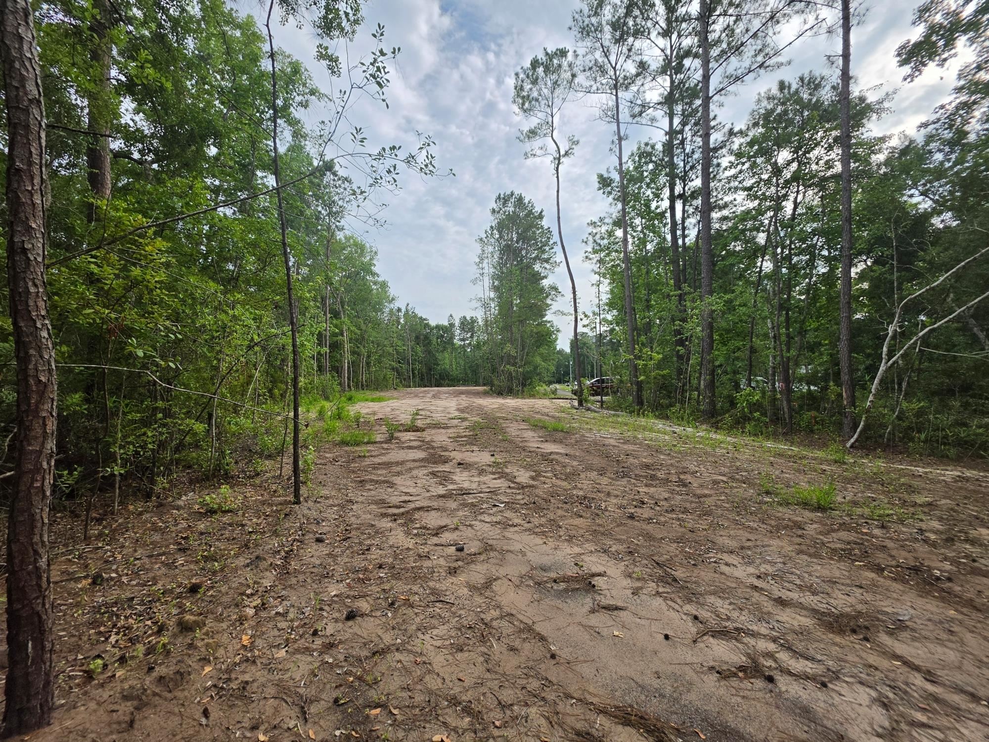 4137 Rose Bud Ln. Property Photo 9