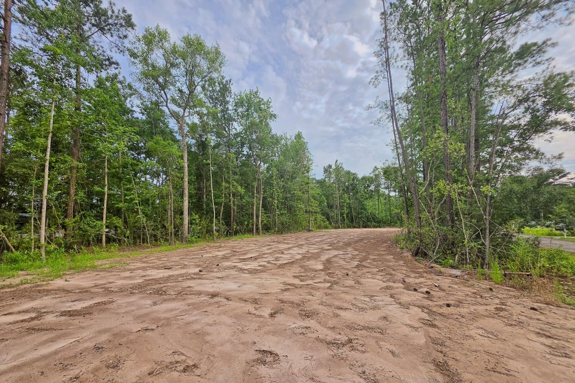 4137 Rose Bud Ln. Property Photo 10