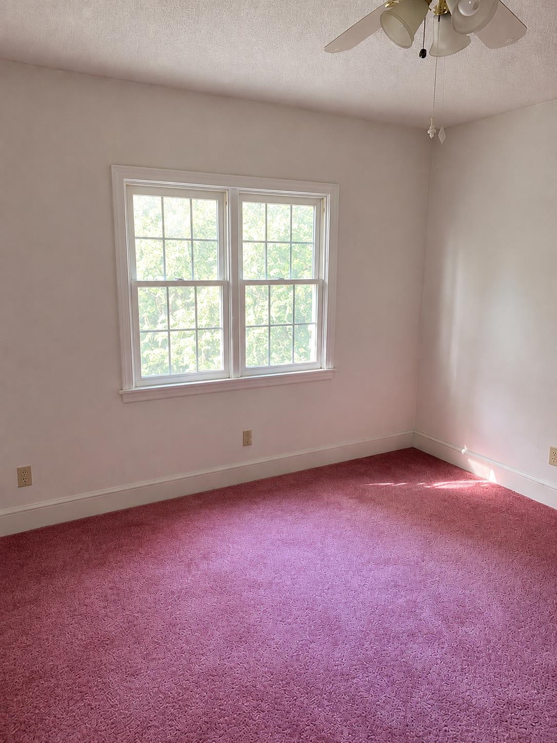 1320 Horseshoe Rd. Property Photo 14