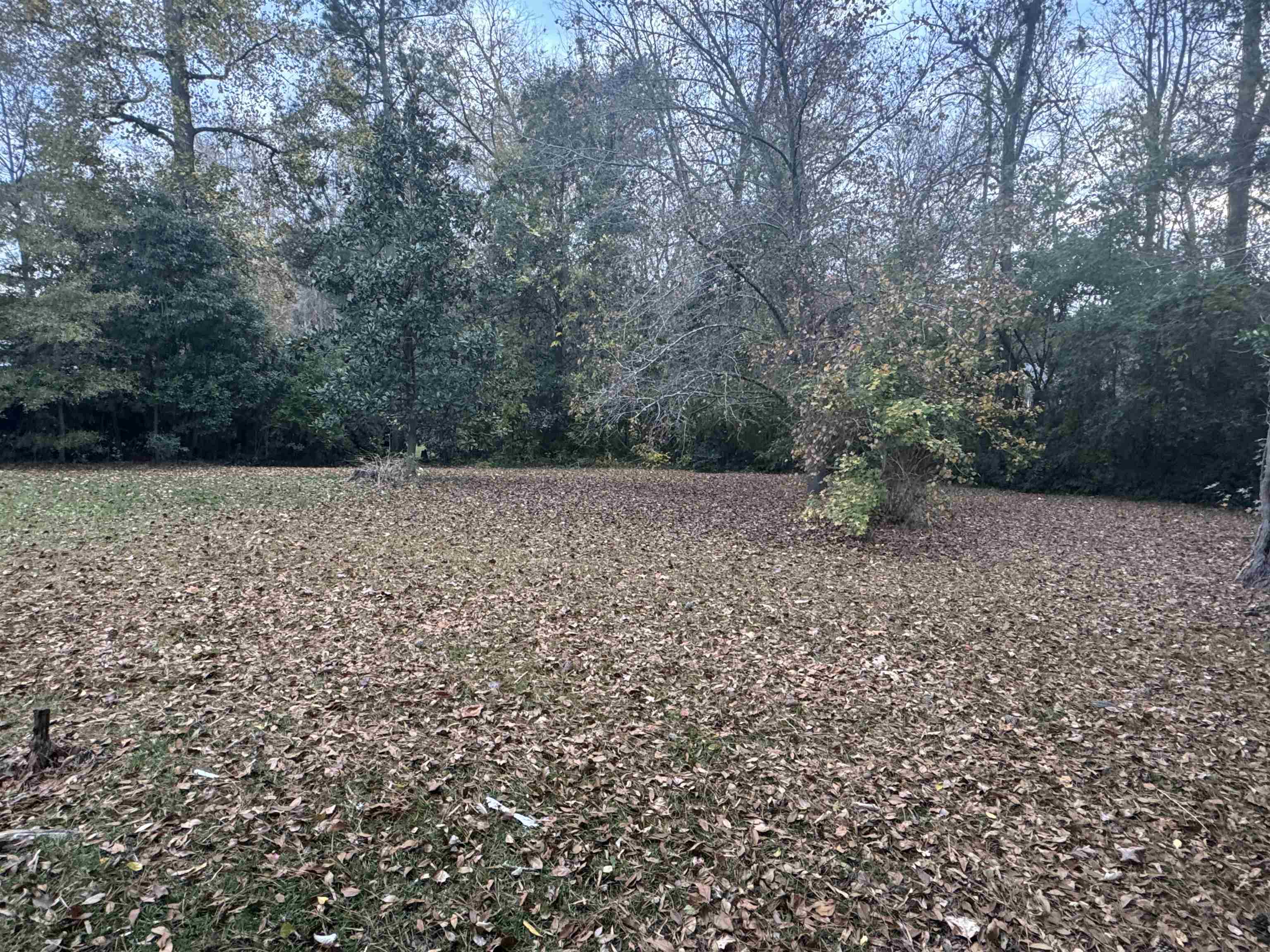 1320 Horseshoe Rd. Property Photo 25