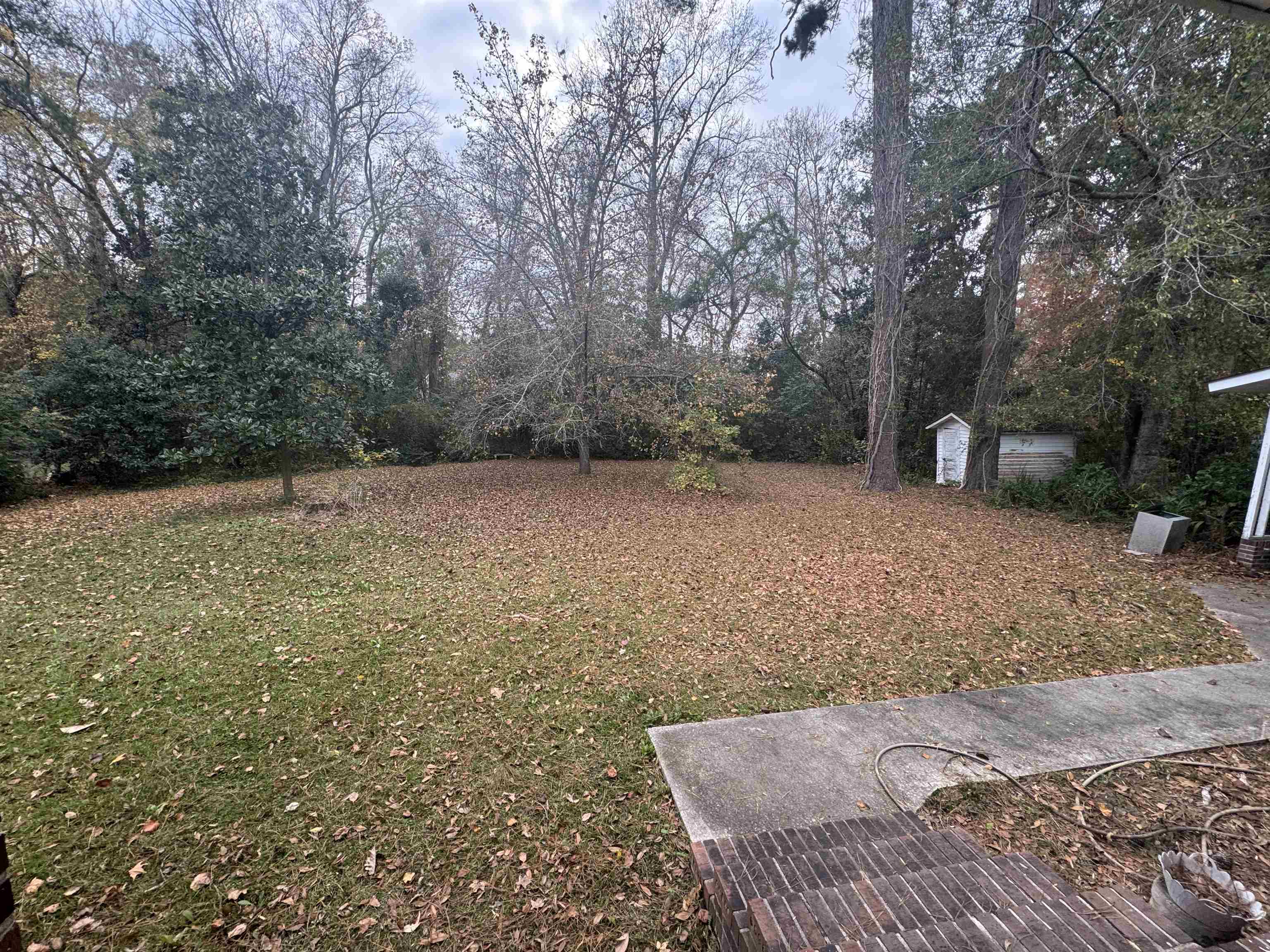 1320 Horseshoe Rd. Property Photo 26