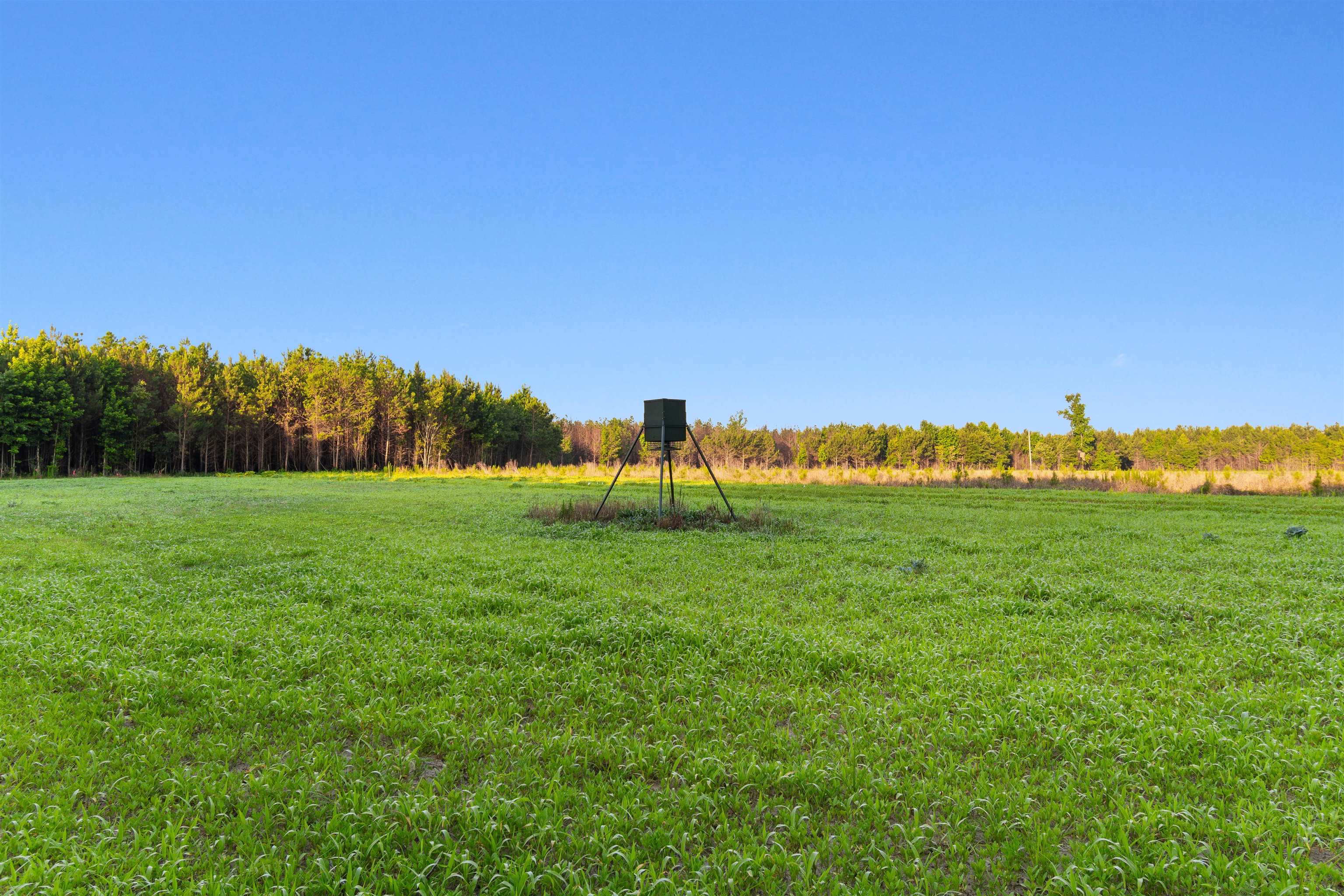 77 Acres - Tbd Bert Hanna Rd. Property Photo 1