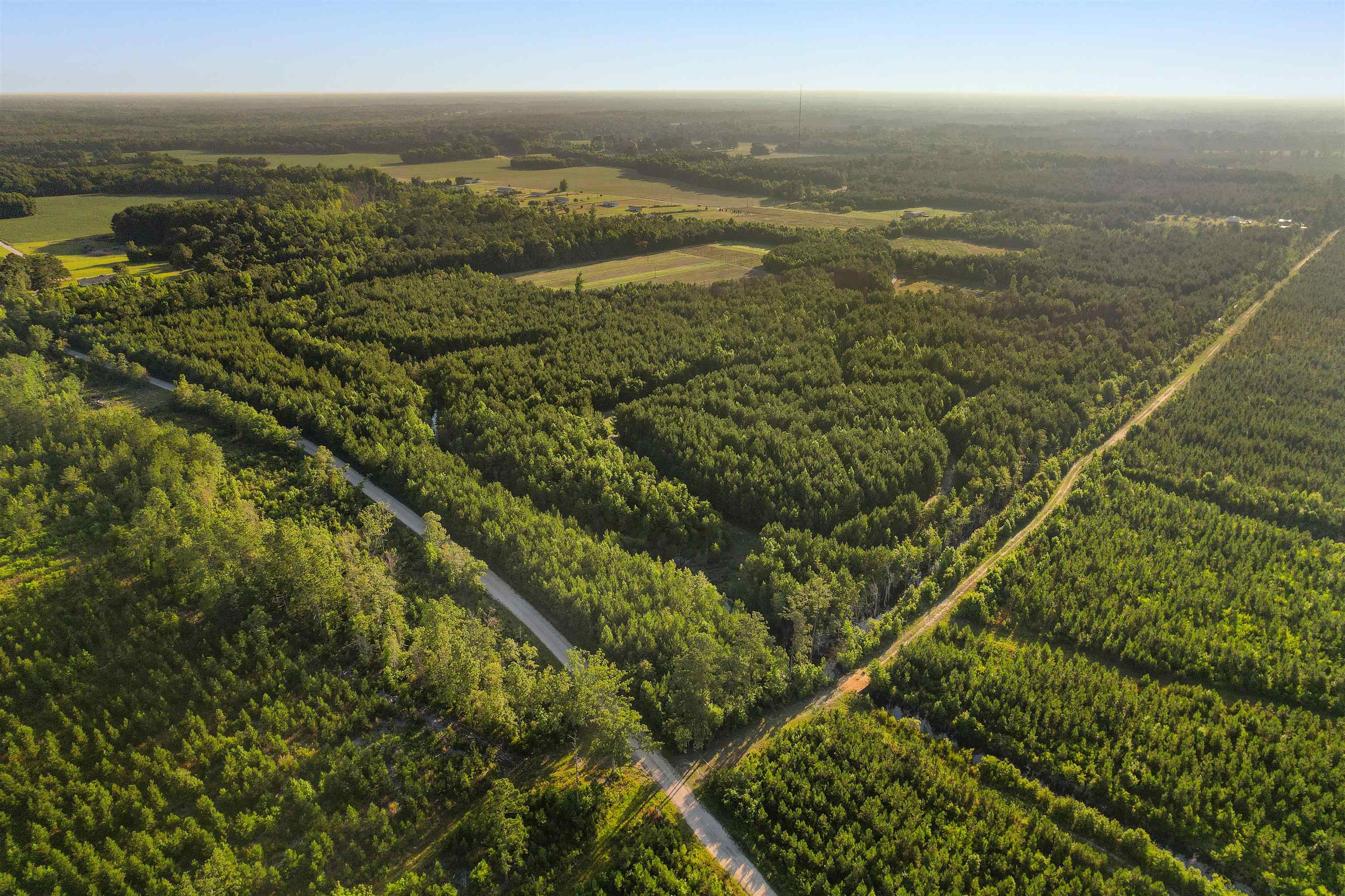 77 Acres - Tbd Bert Hanna Rd. Property Photo 2