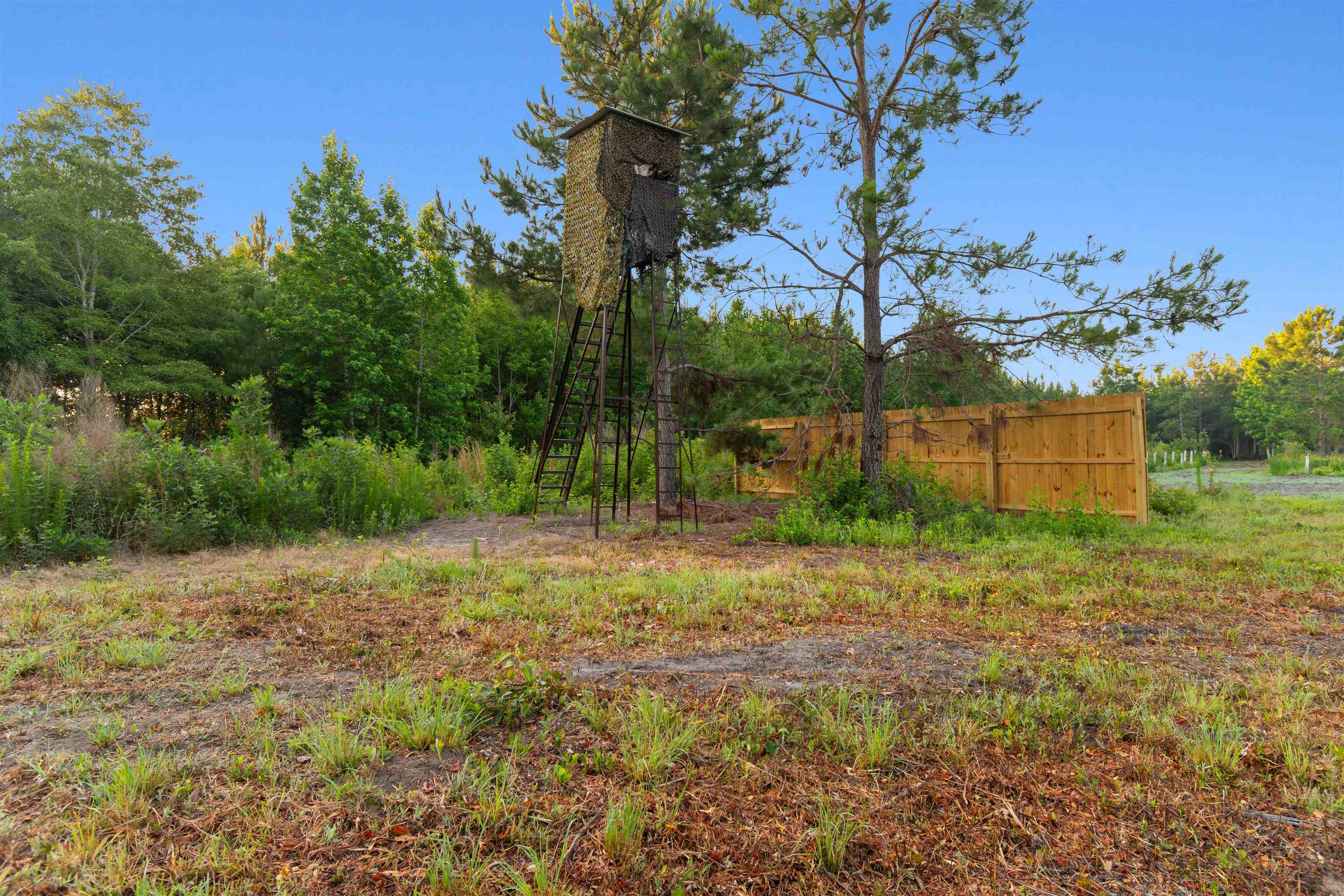 77 Acres - Tbd Bert Hanna Rd. Property Photo 6