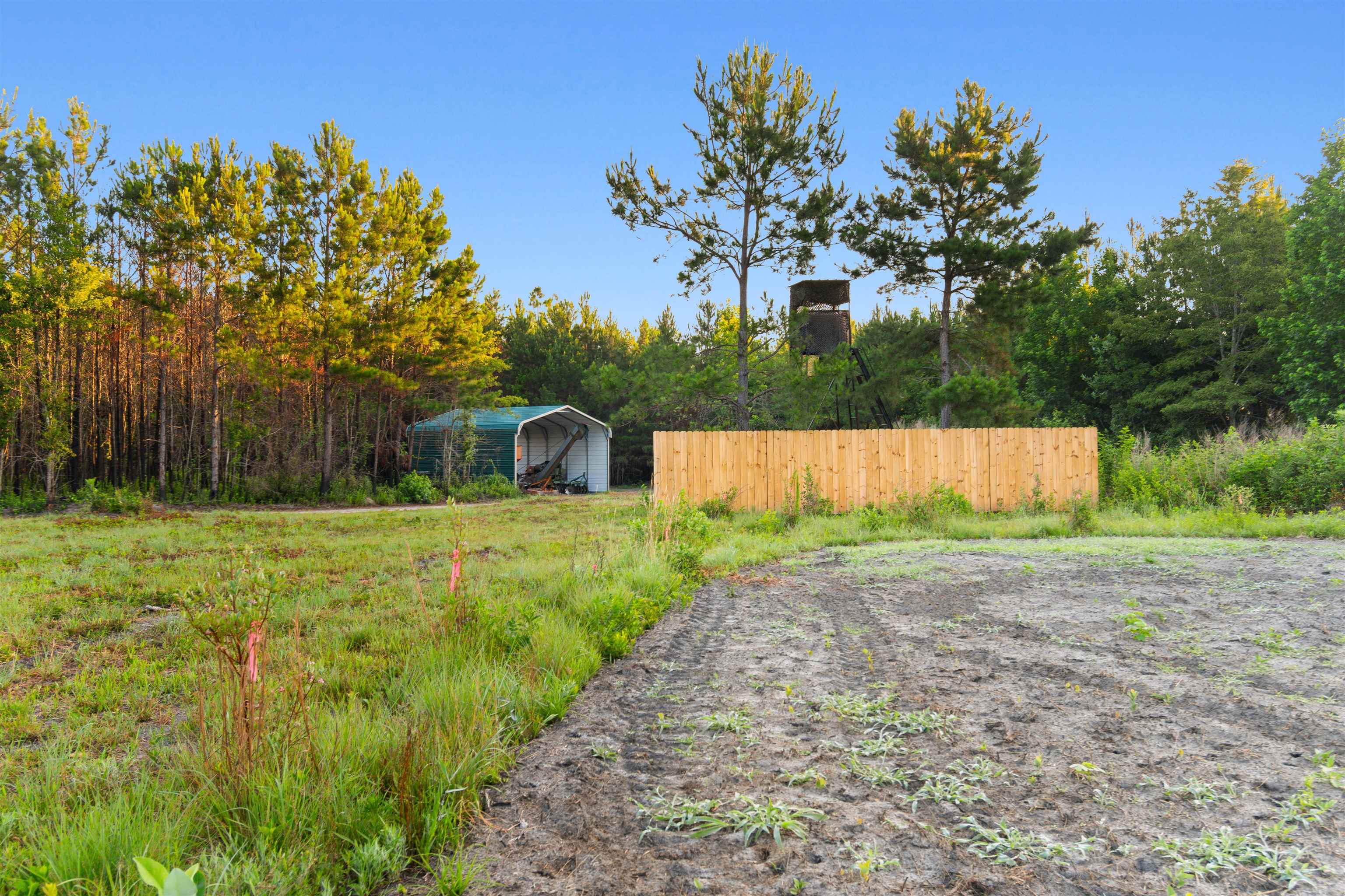 77 Acres - Tbd Bert Hanna Rd. Property Photo 7