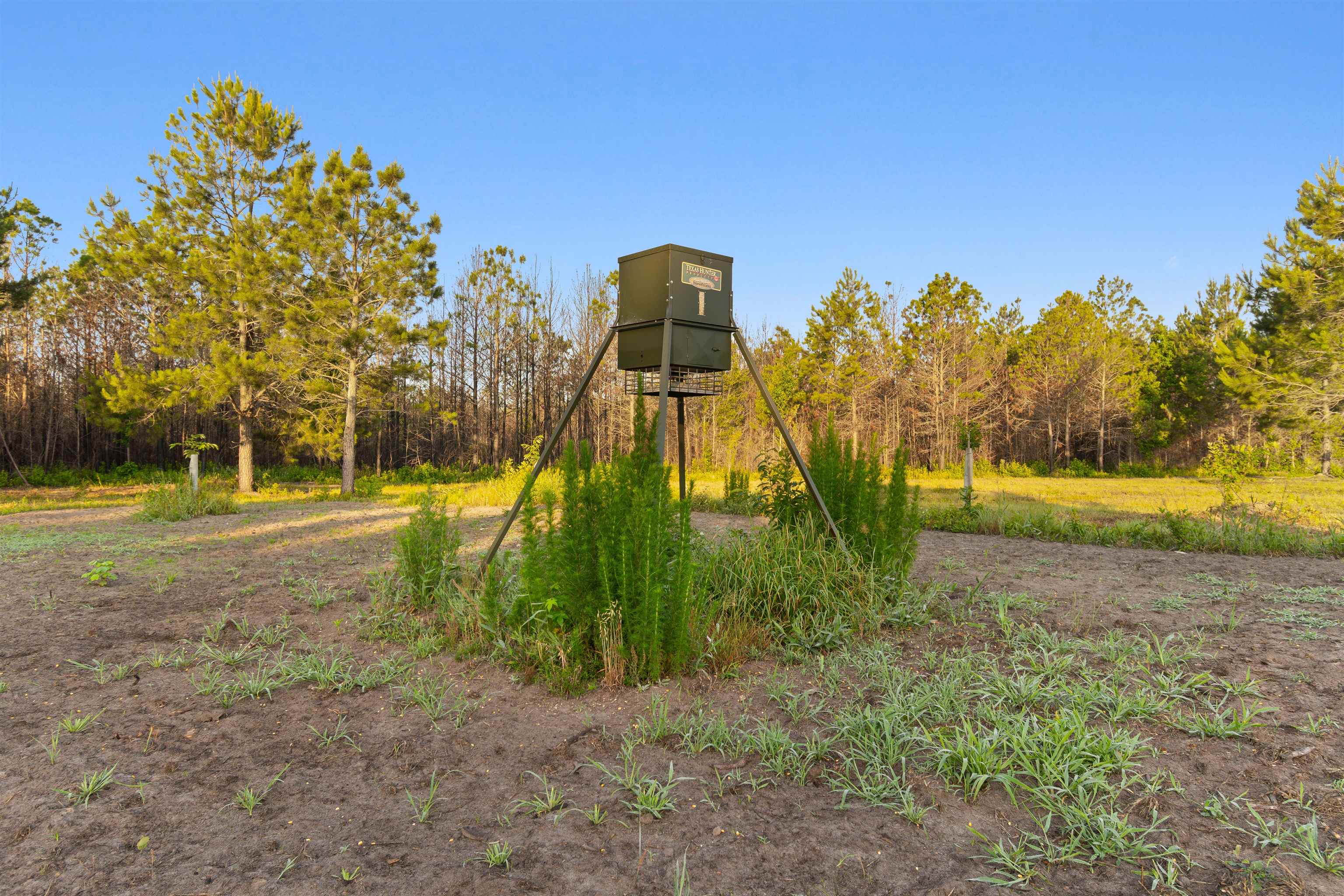 77 Acres - Tbd Bert Hanna Rd. Property Photo 8