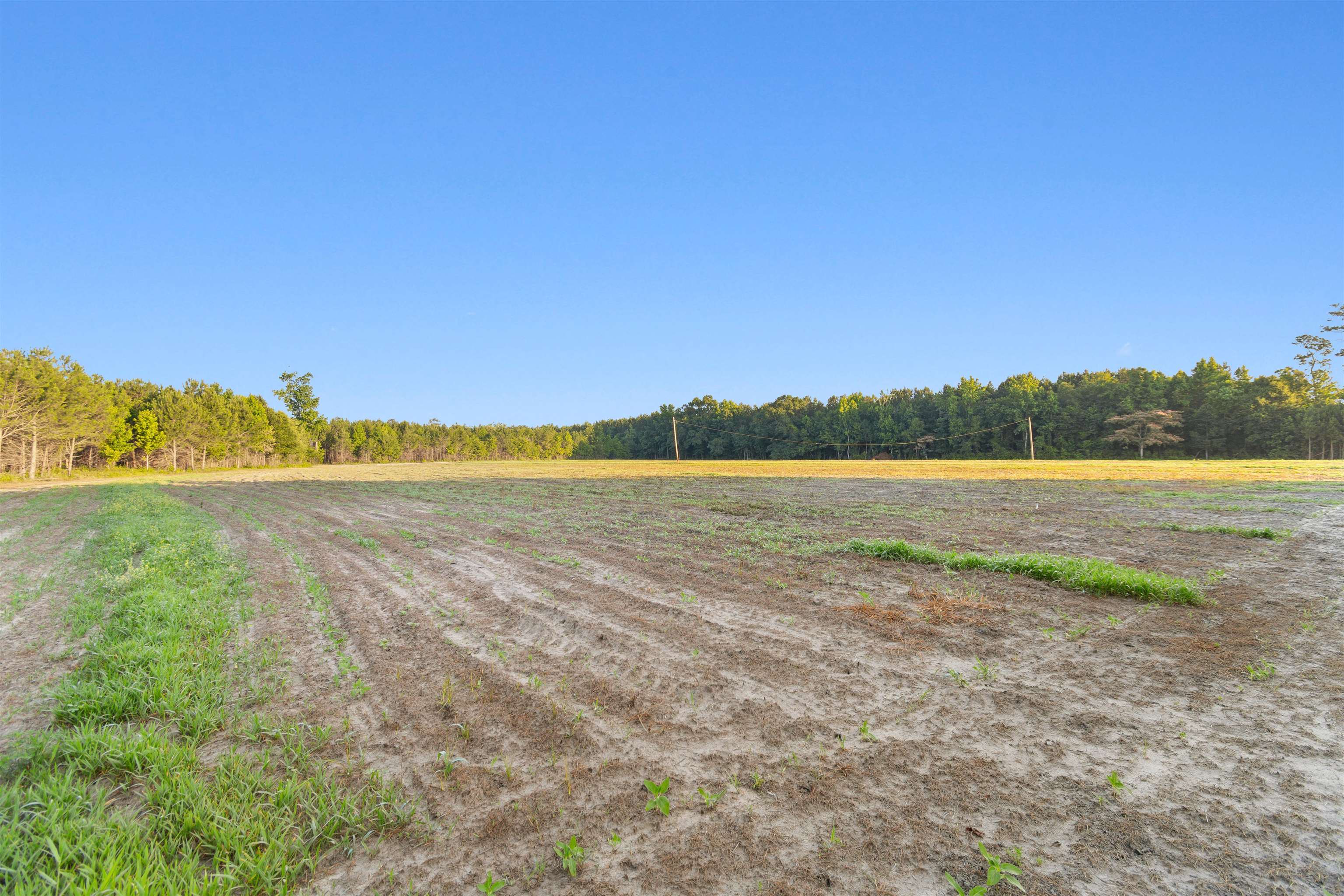 77 Acres - Tbd Bert Hanna Rd. Property Photo 9