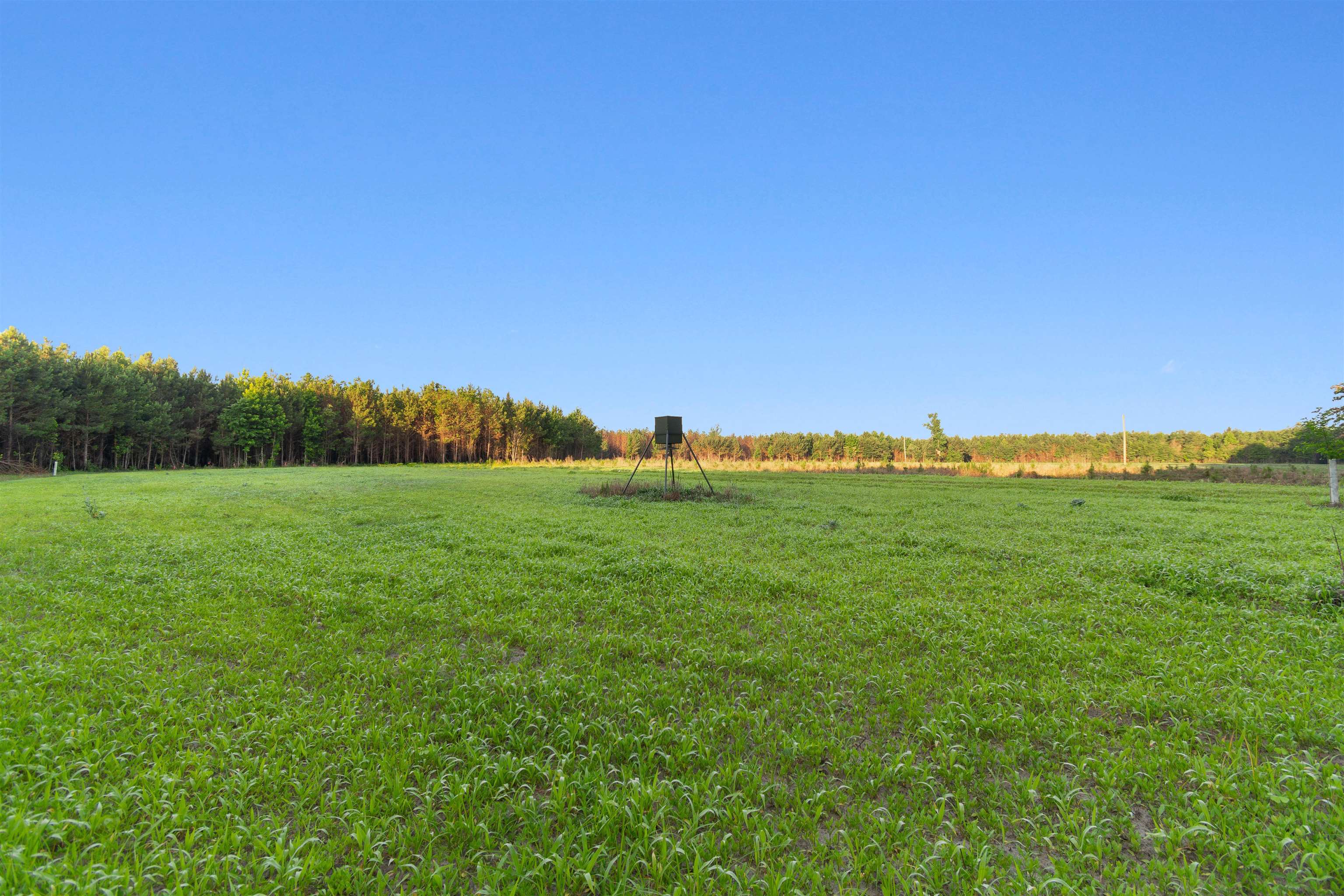 77 Acres - Tbd Bert Hanna Rd. Property Photo 10