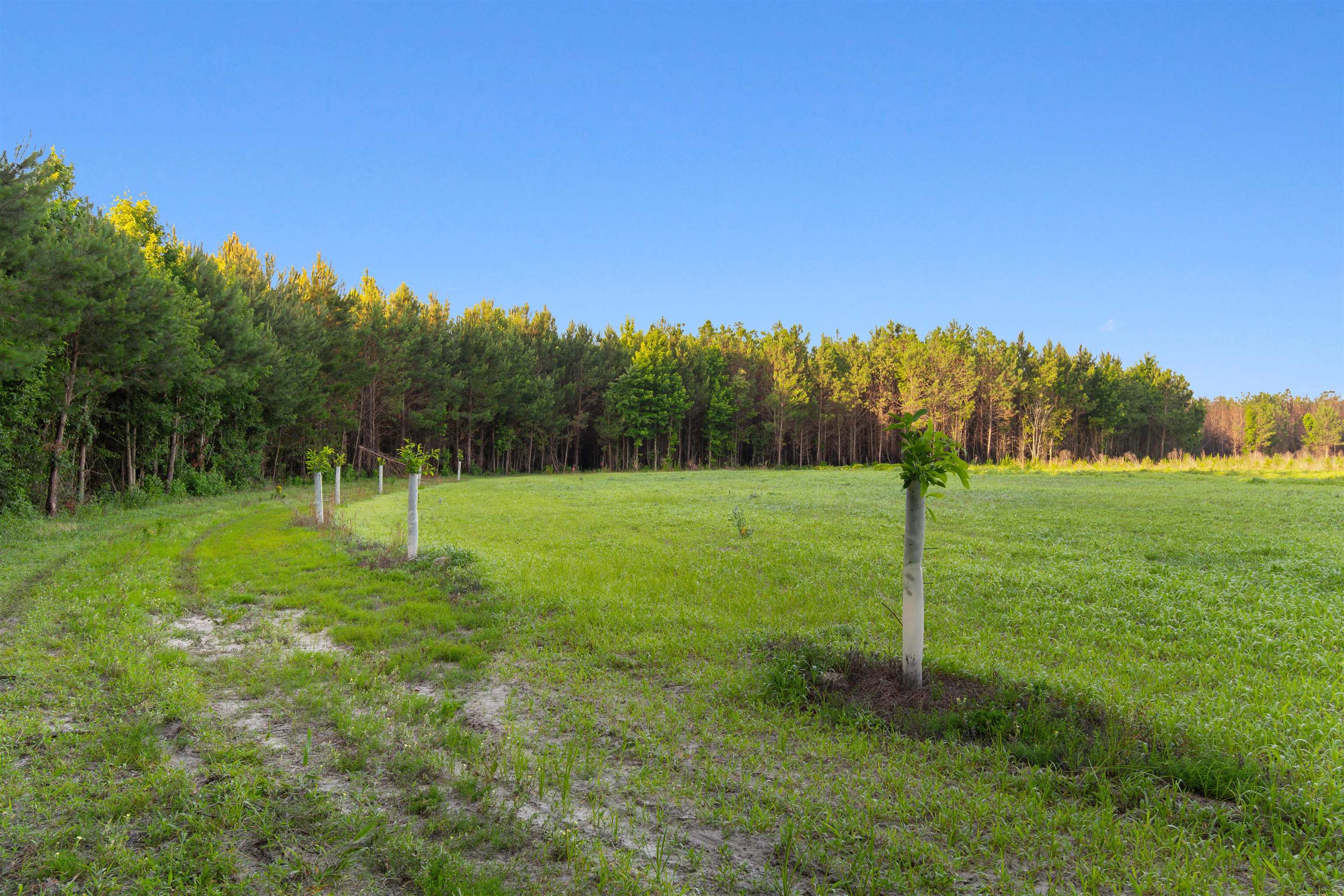 77 Acres - Tbd Bert Hanna Rd. Property Photo 11