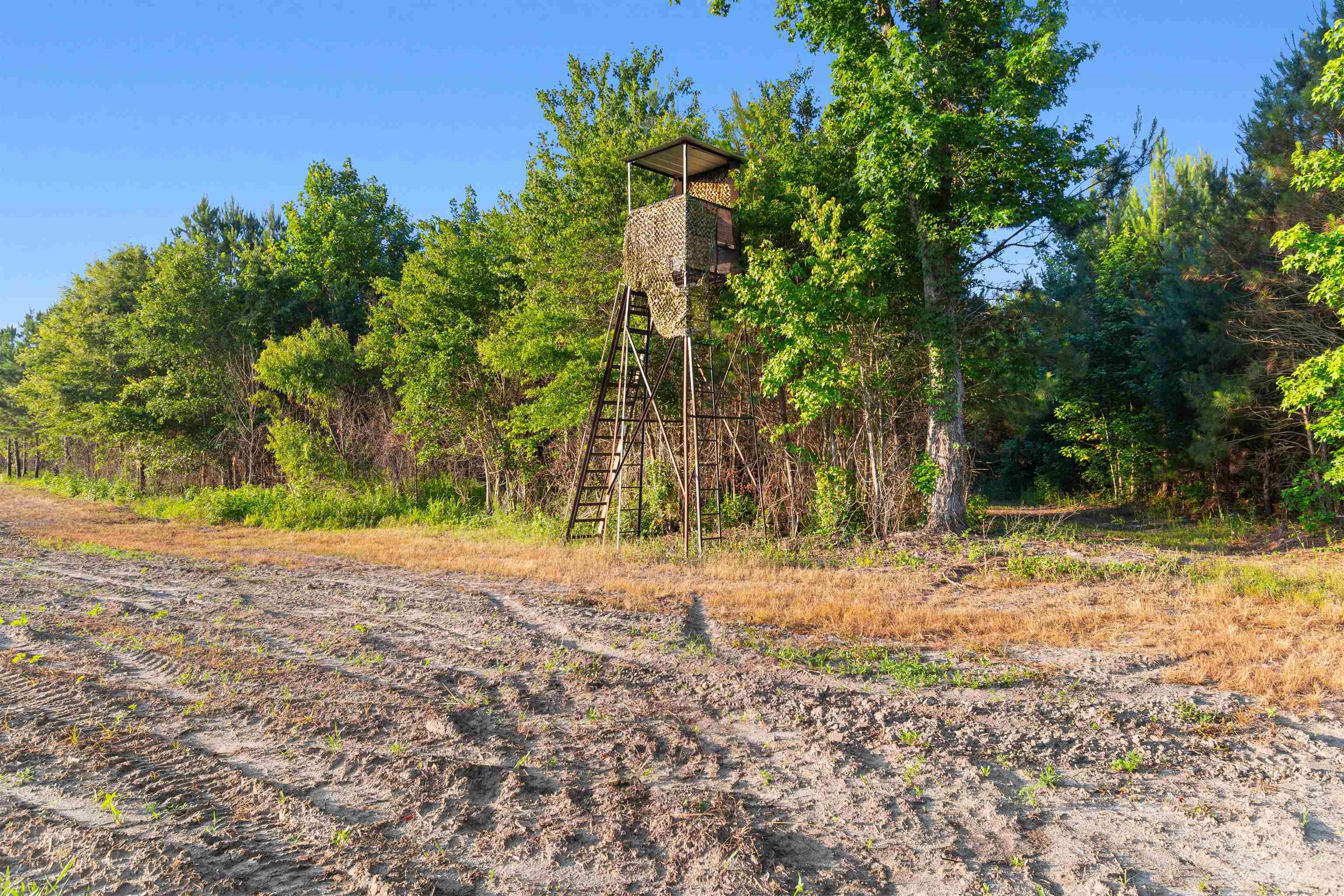 77 Acres - Tbd Bert Hanna Rd. Property Photo 12