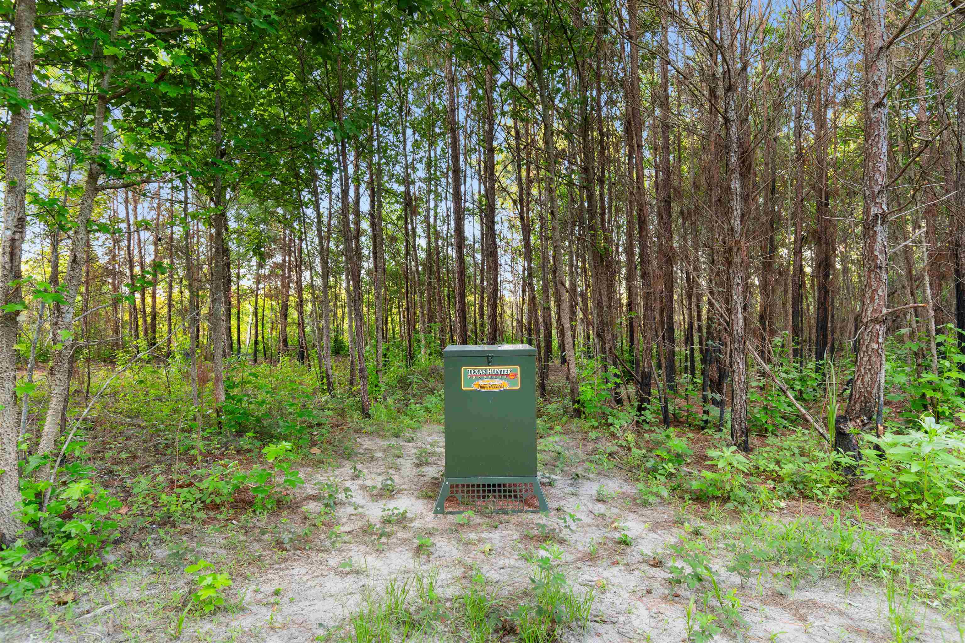 77 Acres - Tbd Bert Hanna Rd. Property Photo 13