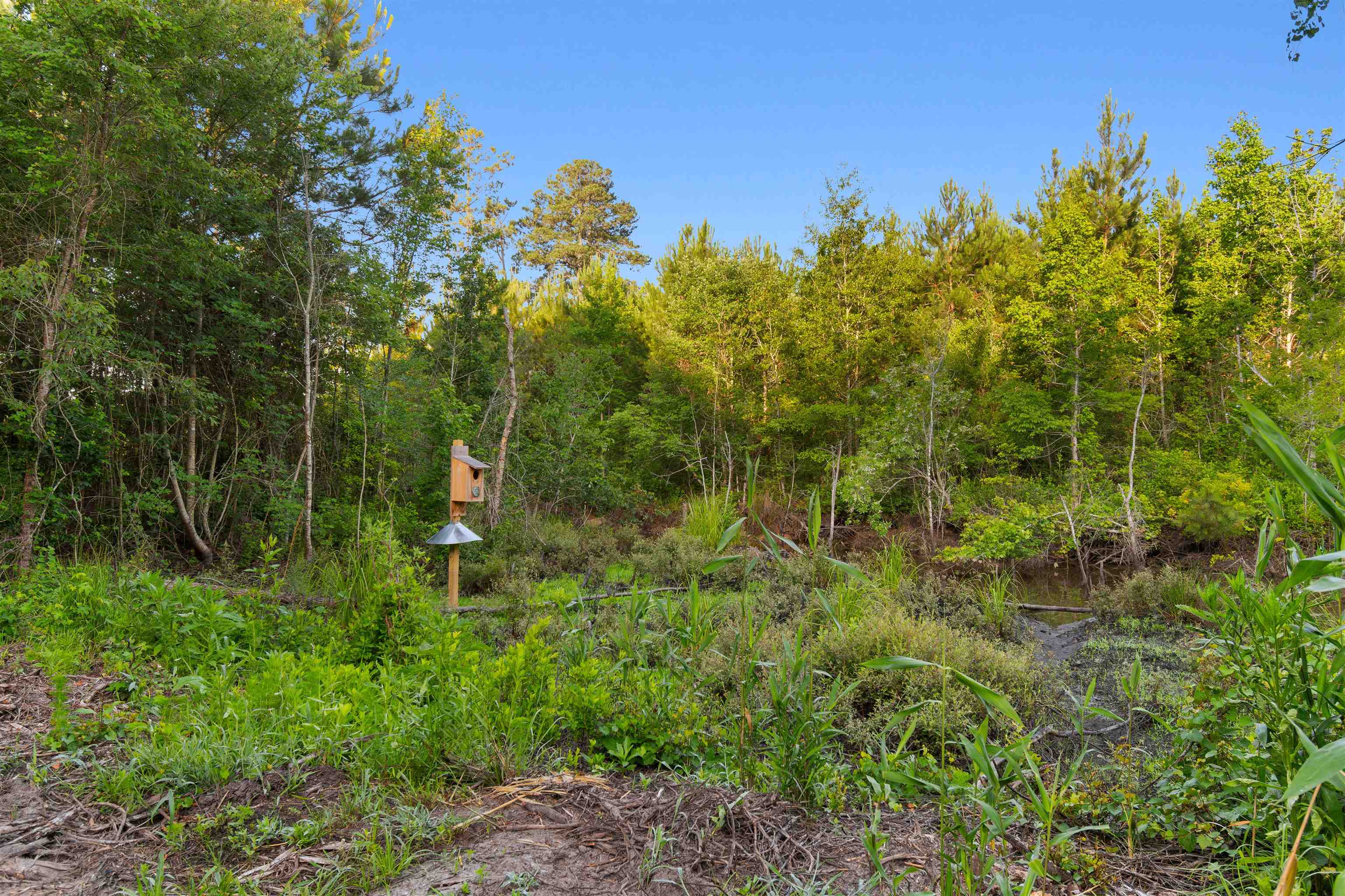 77 Acres - Tbd Bert Hanna Rd. Property Photo 15