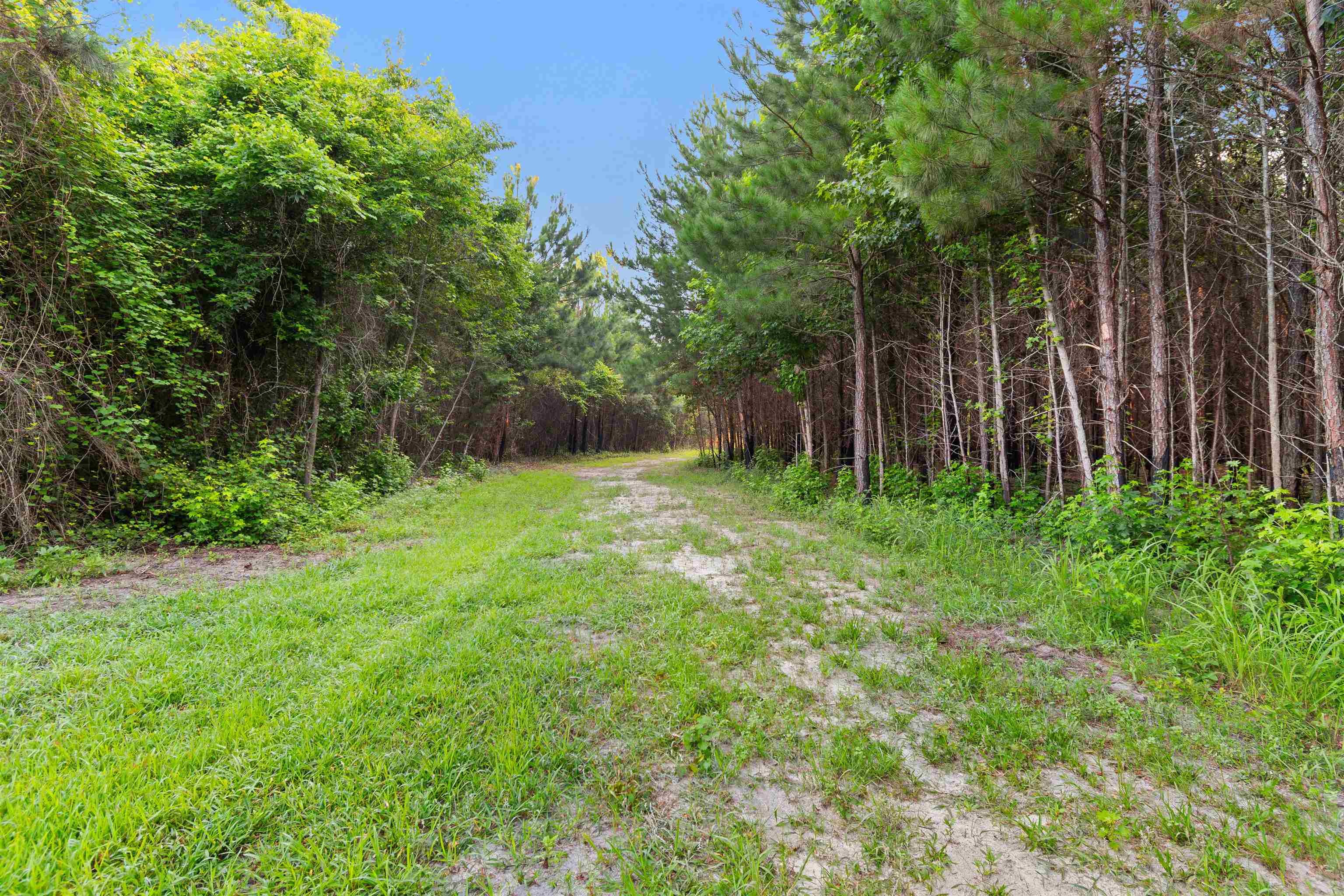 77 Acres - Tbd Bert Hanna Rd. Property Photo 16