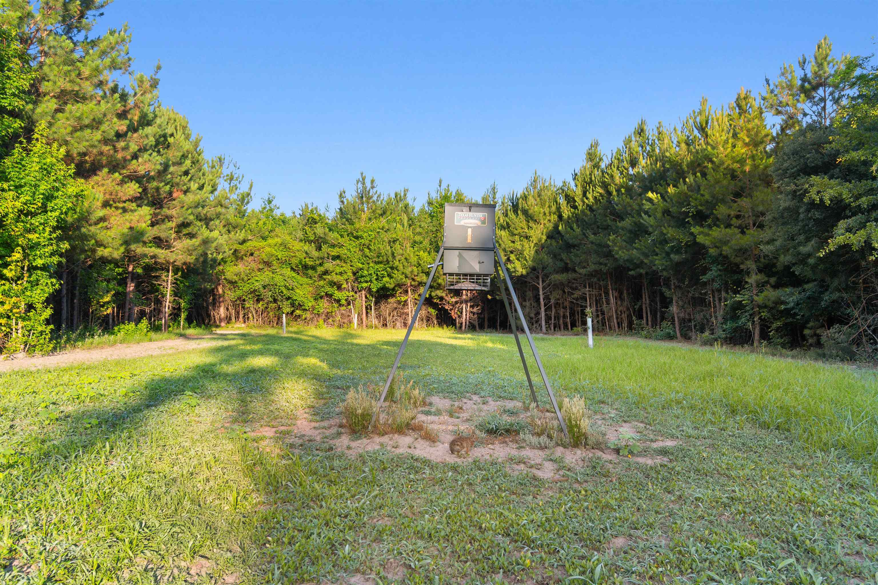 77 Acres - Tbd Bert Hanna Rd. Property Photo 17