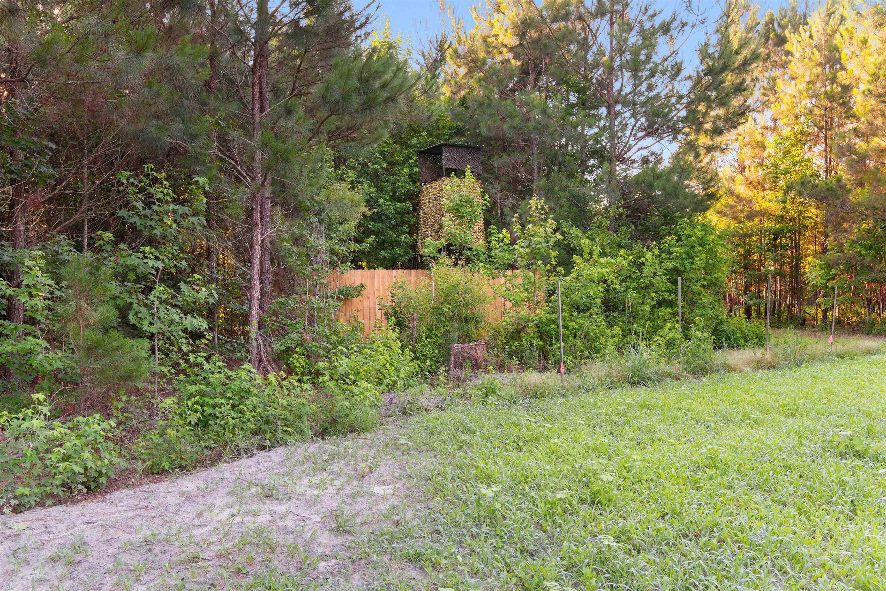 77 Acres - Tbd Bert Hanna Rd. Property Photo 18