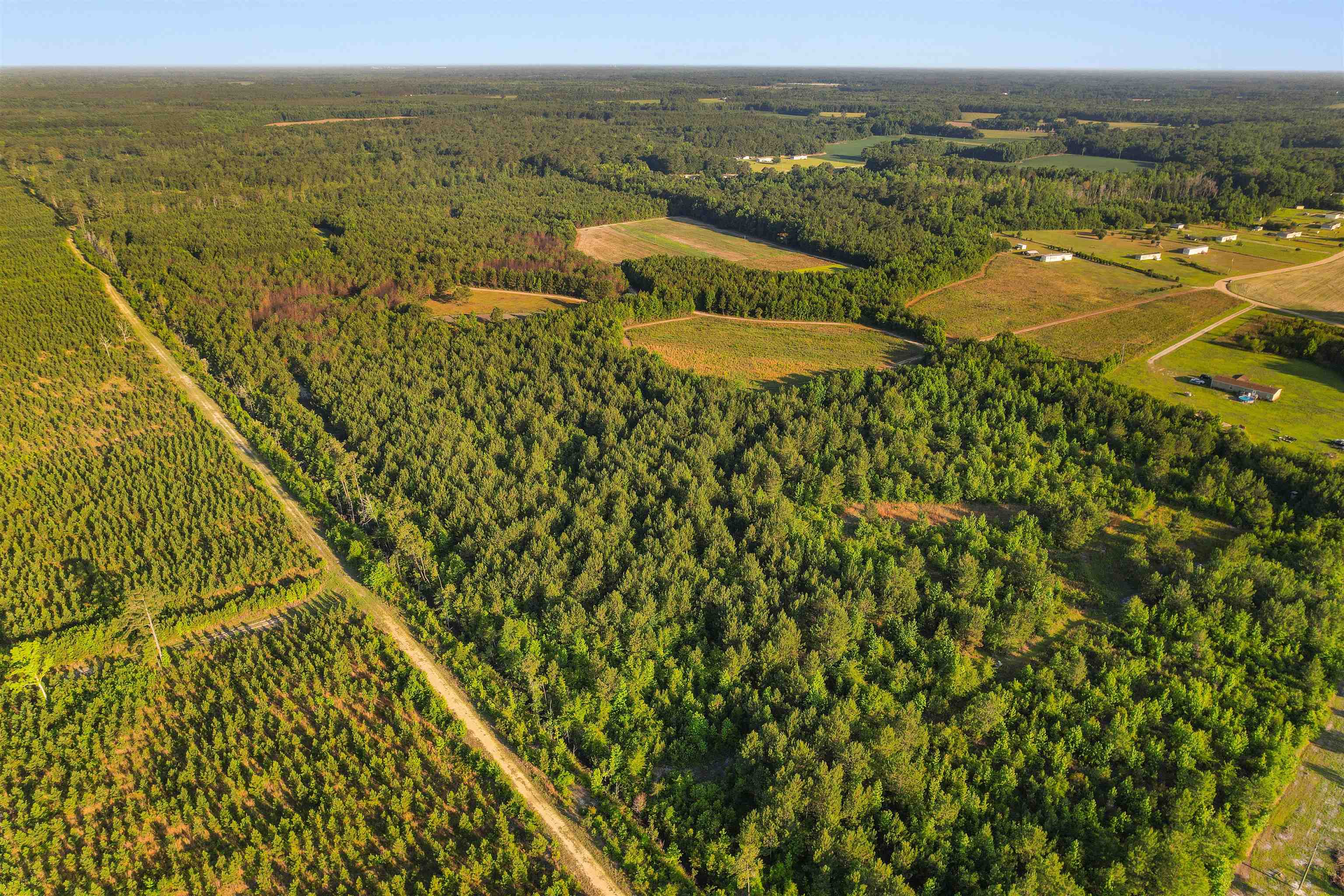 77 Acres - Tbd Bert Hanna Rd. Property Photo 21