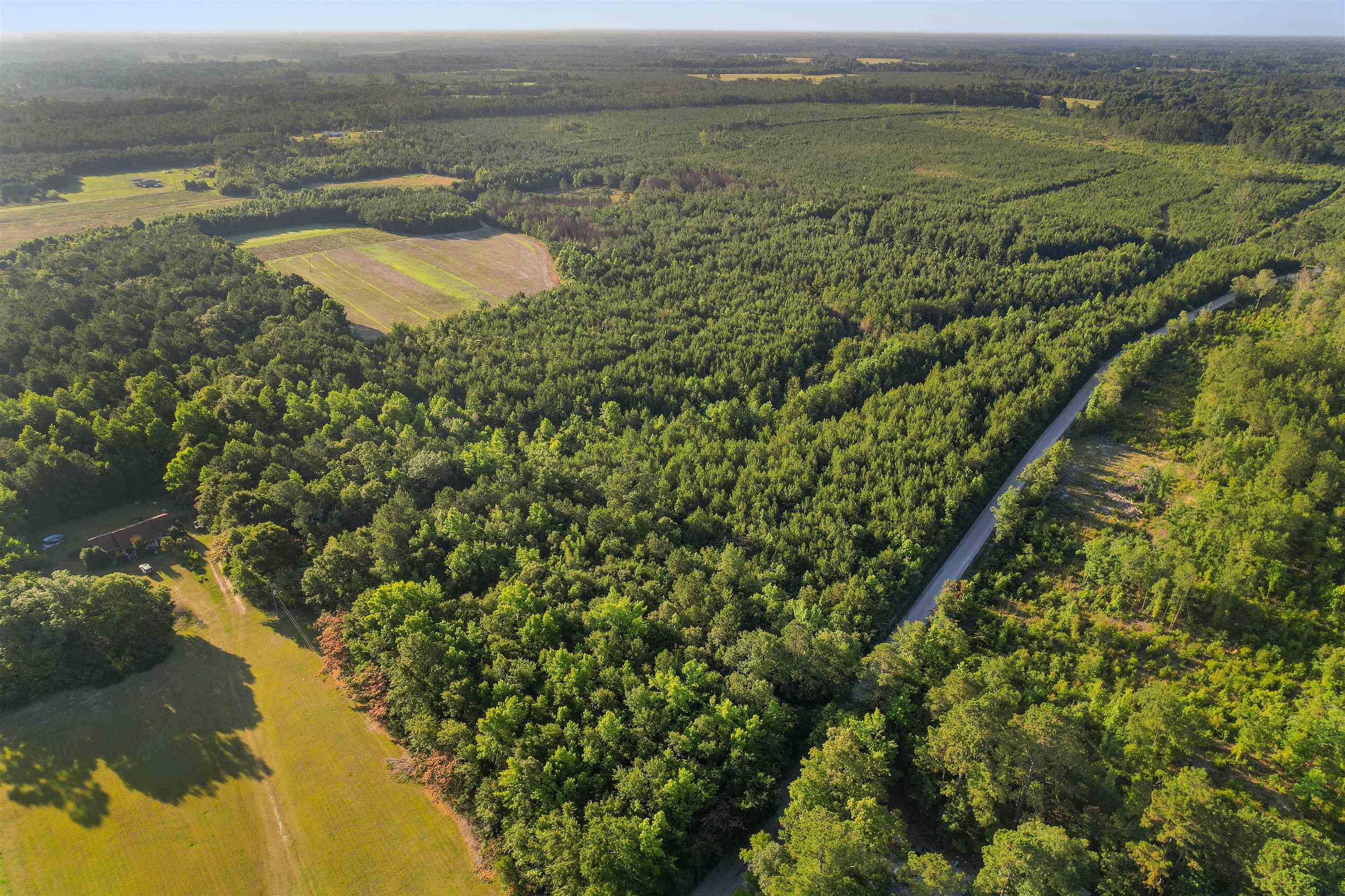 77 Acres - Tbd Bert Hanna Rd. Property Photo 22