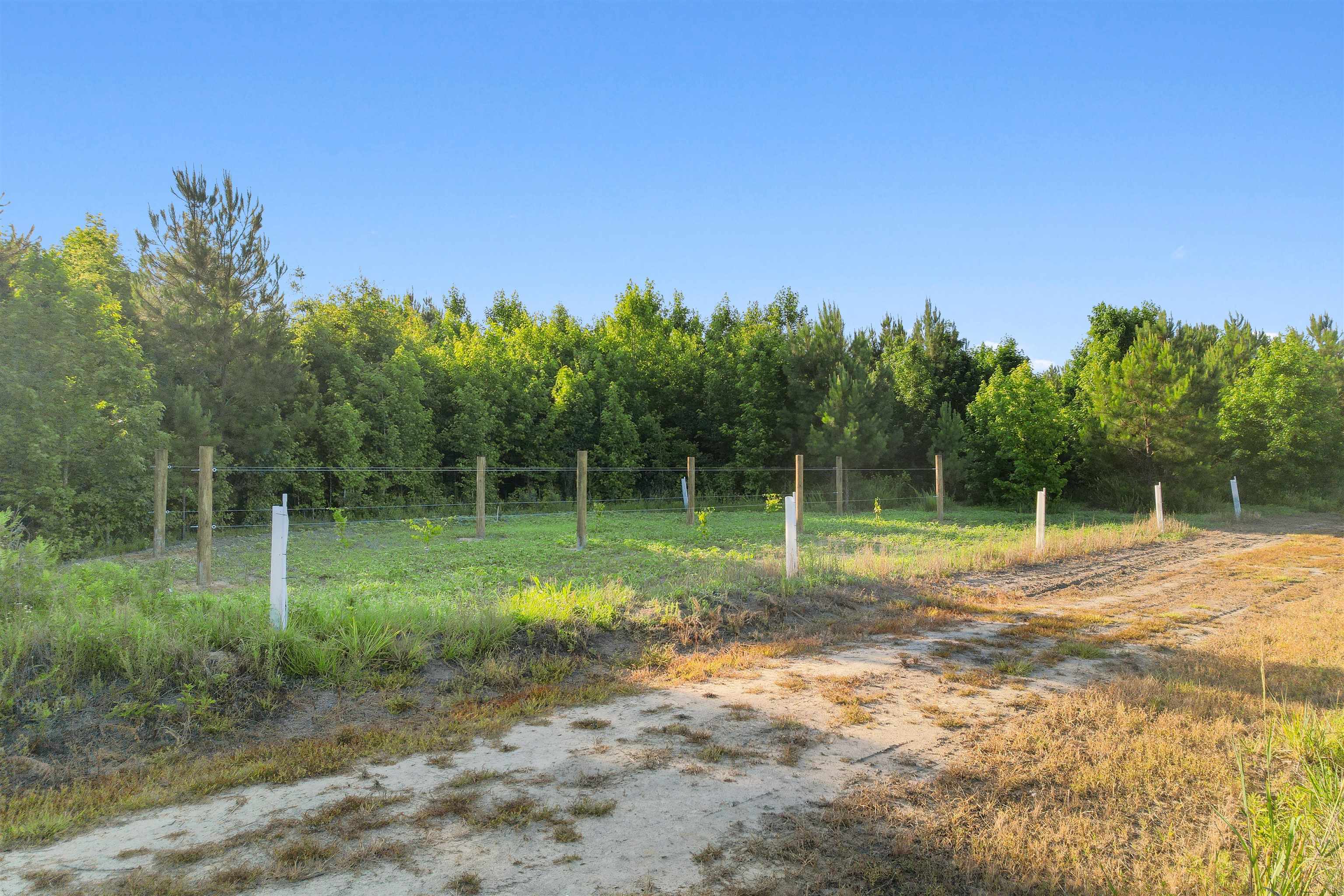 77 Acres - Tbd Bert Hanna Rd. Property Photo 23