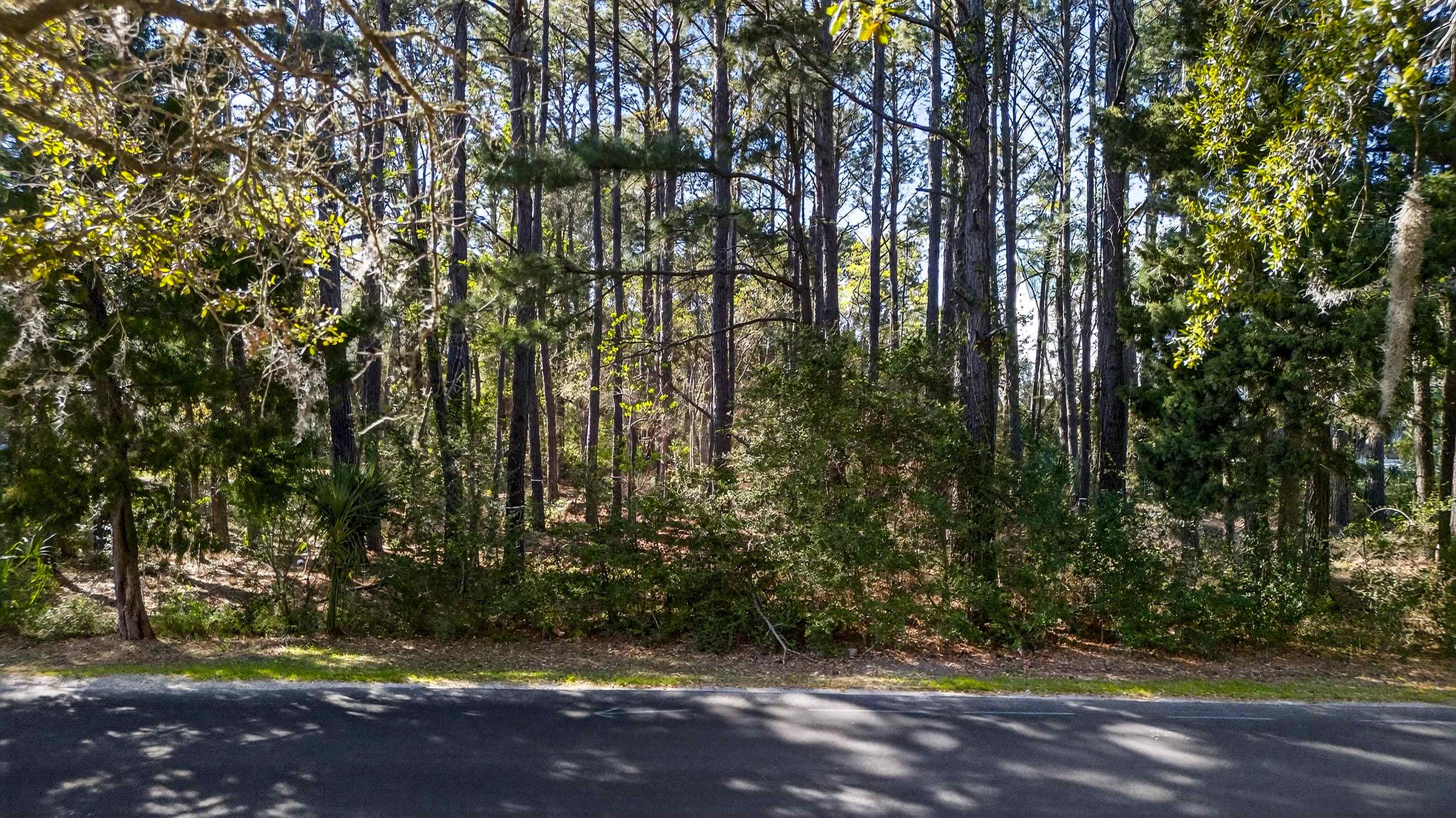 Lot 18 Luvan Blvd. Property Photo 3
