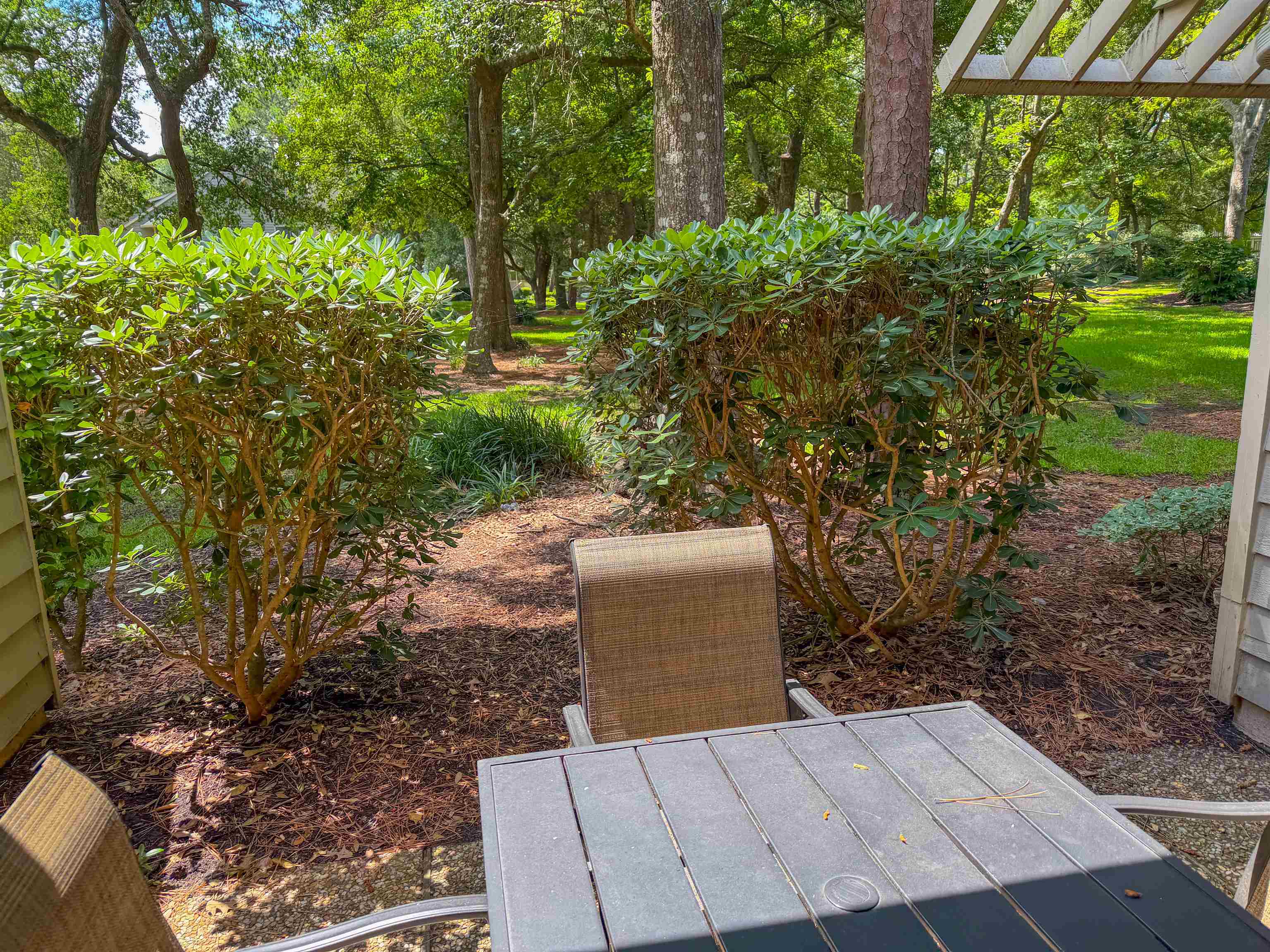 206 Westleton Dr. Property Photo 3