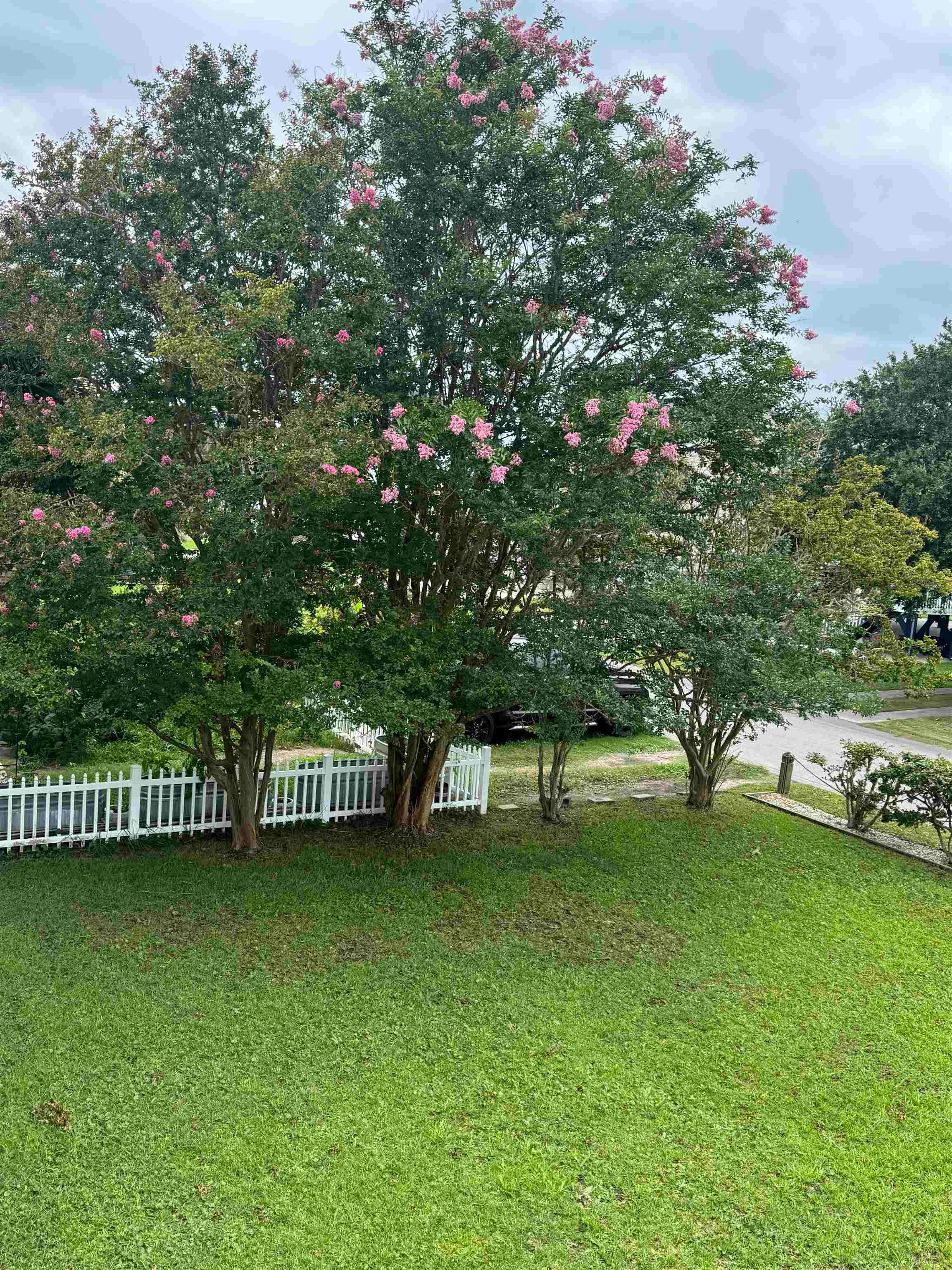 4612 Hedrick St. Property Photo 4