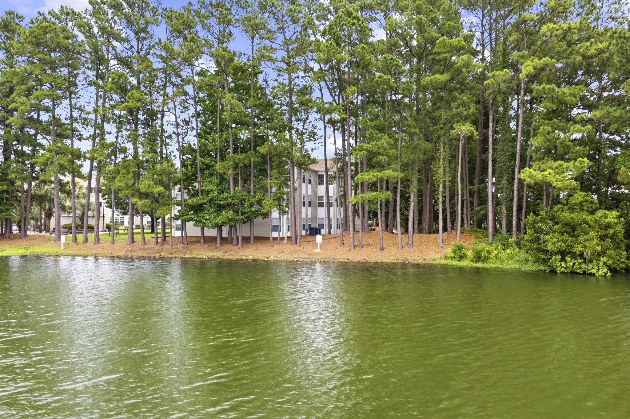 140 Spanish Oak Ct. Property Photo 31