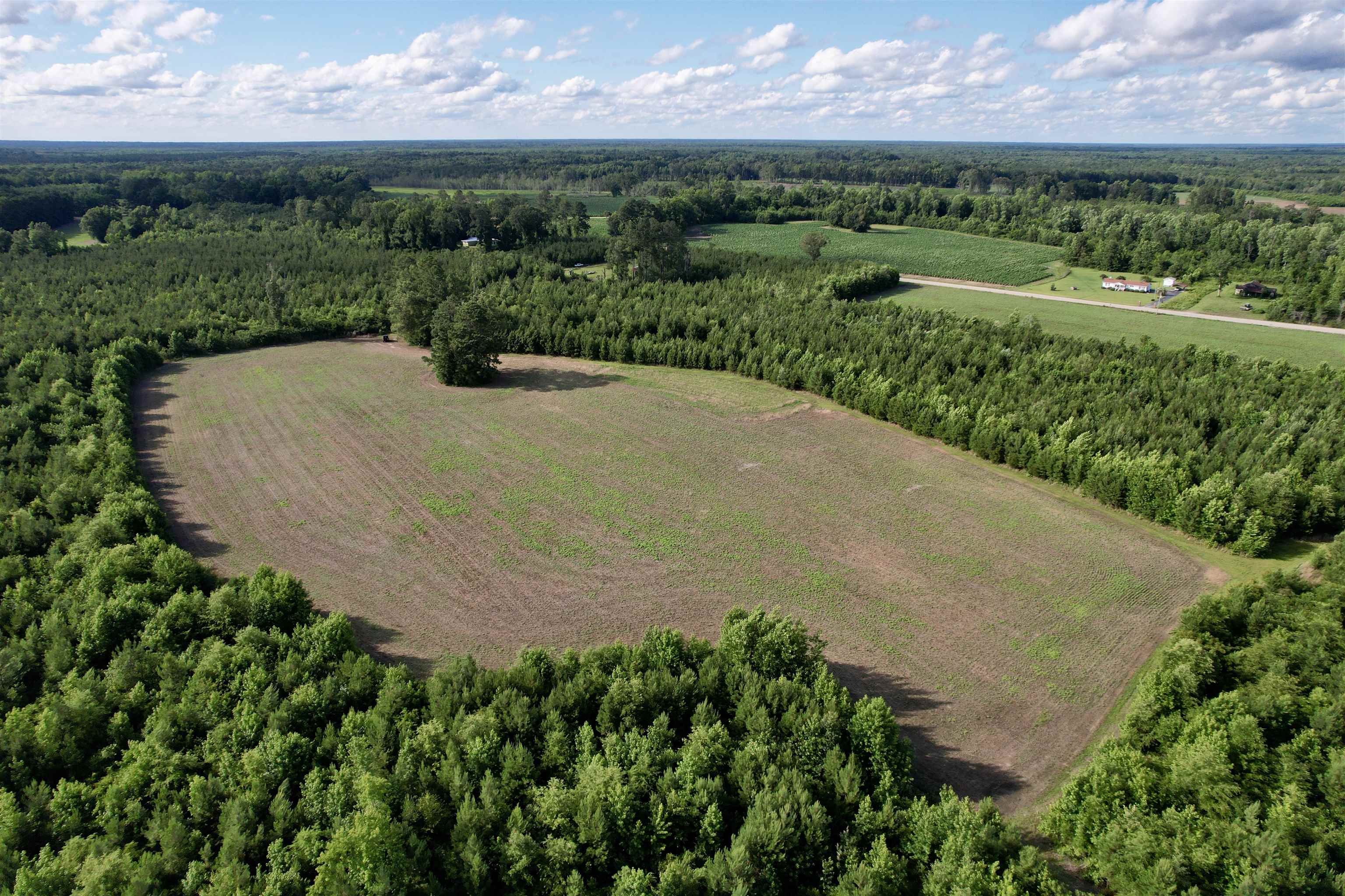 85± Acres - Muddy Creek Rd. Property Photo 1