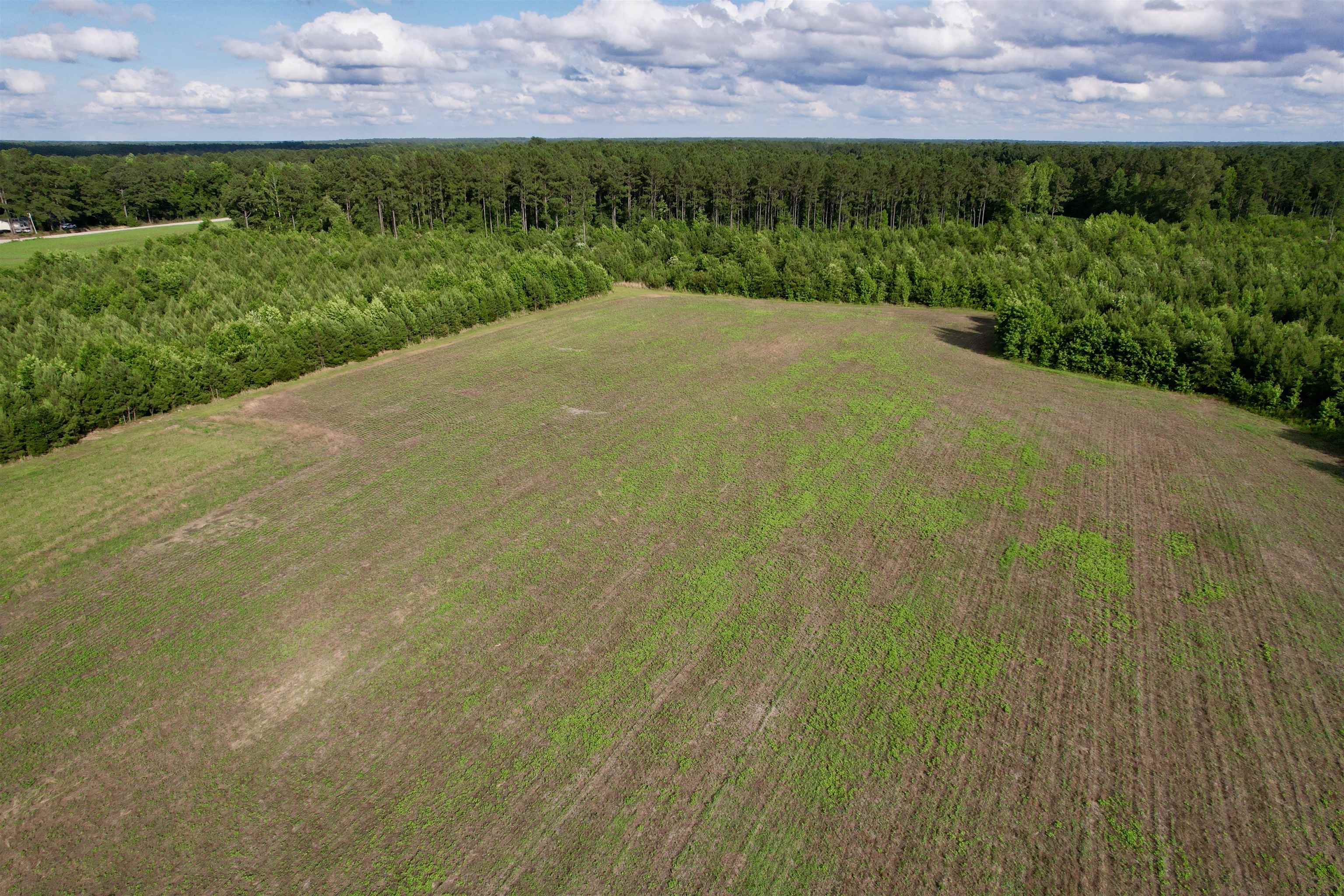 85± Acres - Muddy Creek Rd. Property Photo 2