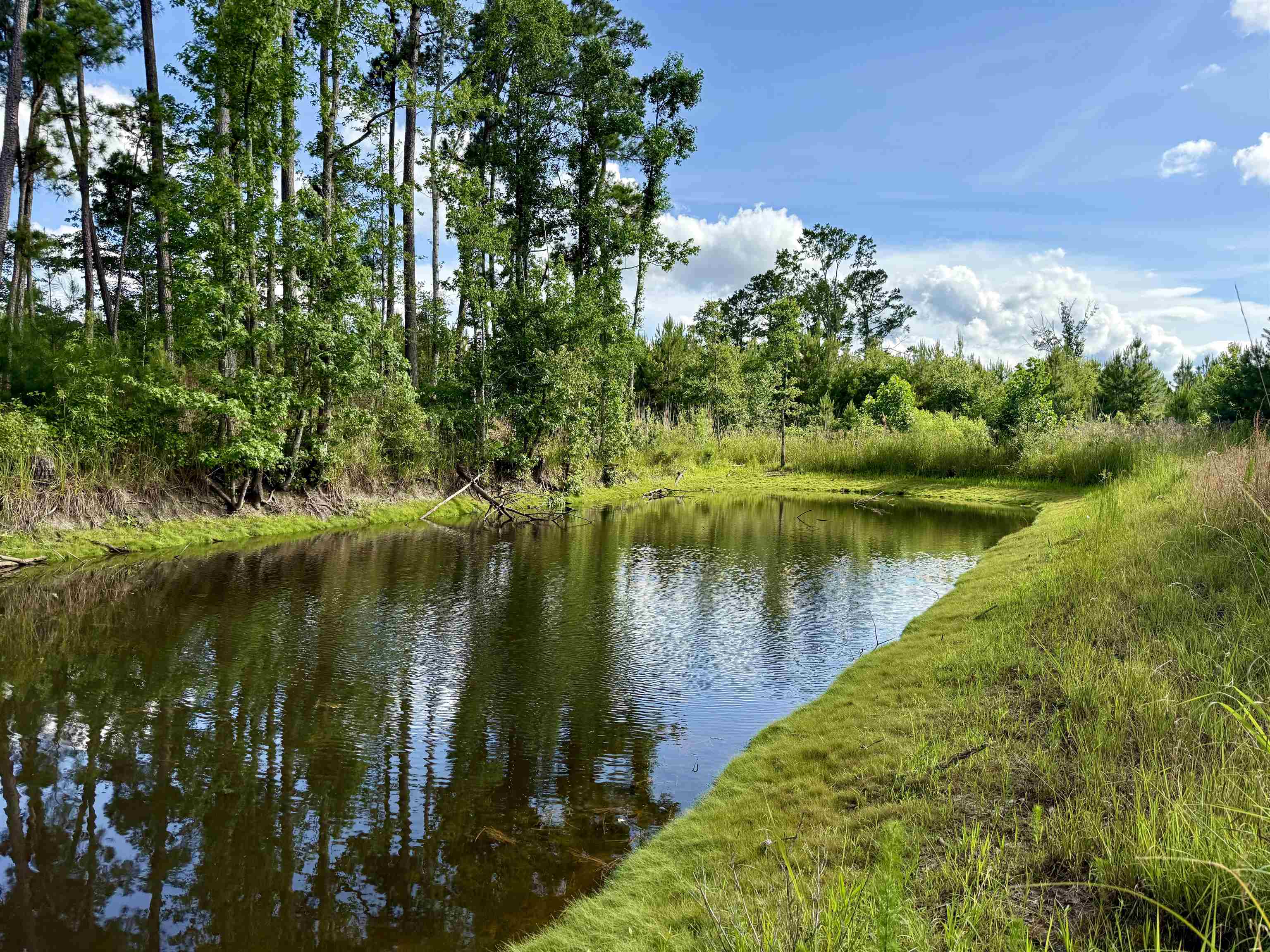 85± Acres - Muddy Creek Rd. Property Photo 3