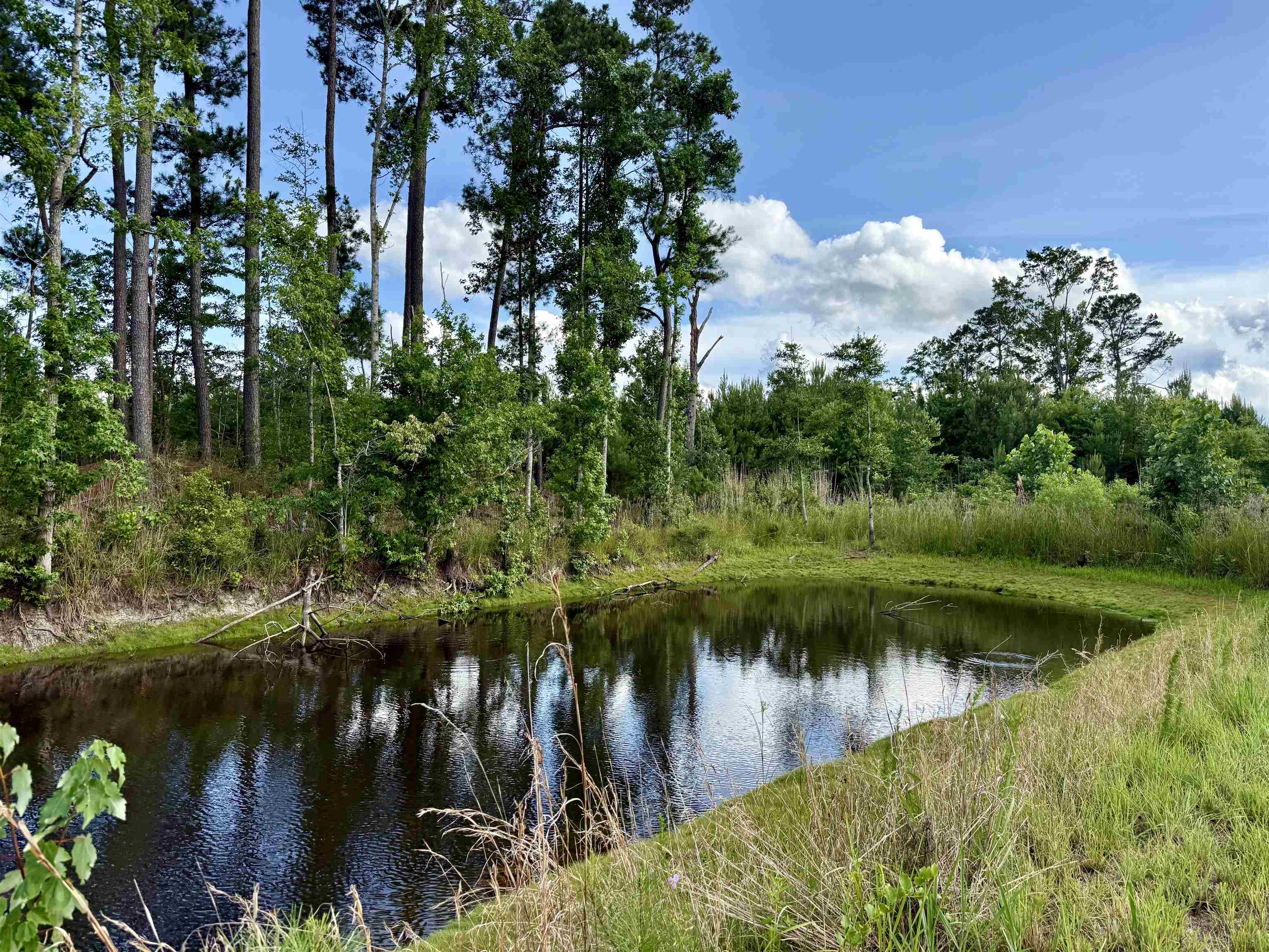 85± Acres - Muddy Creek Rd. Property Photo 5