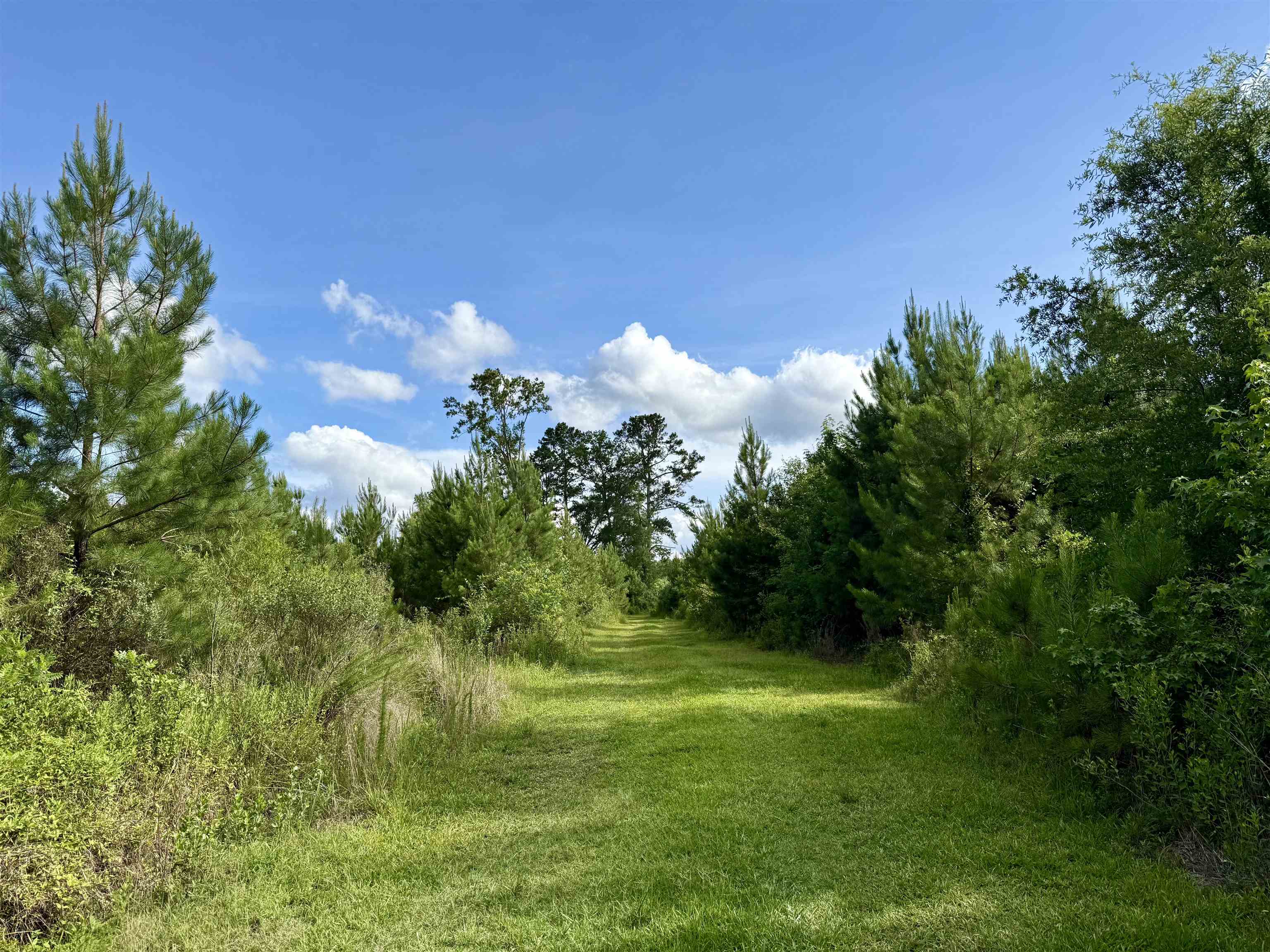 85± Acres - Muddy Creek Rd. Property Photo 6