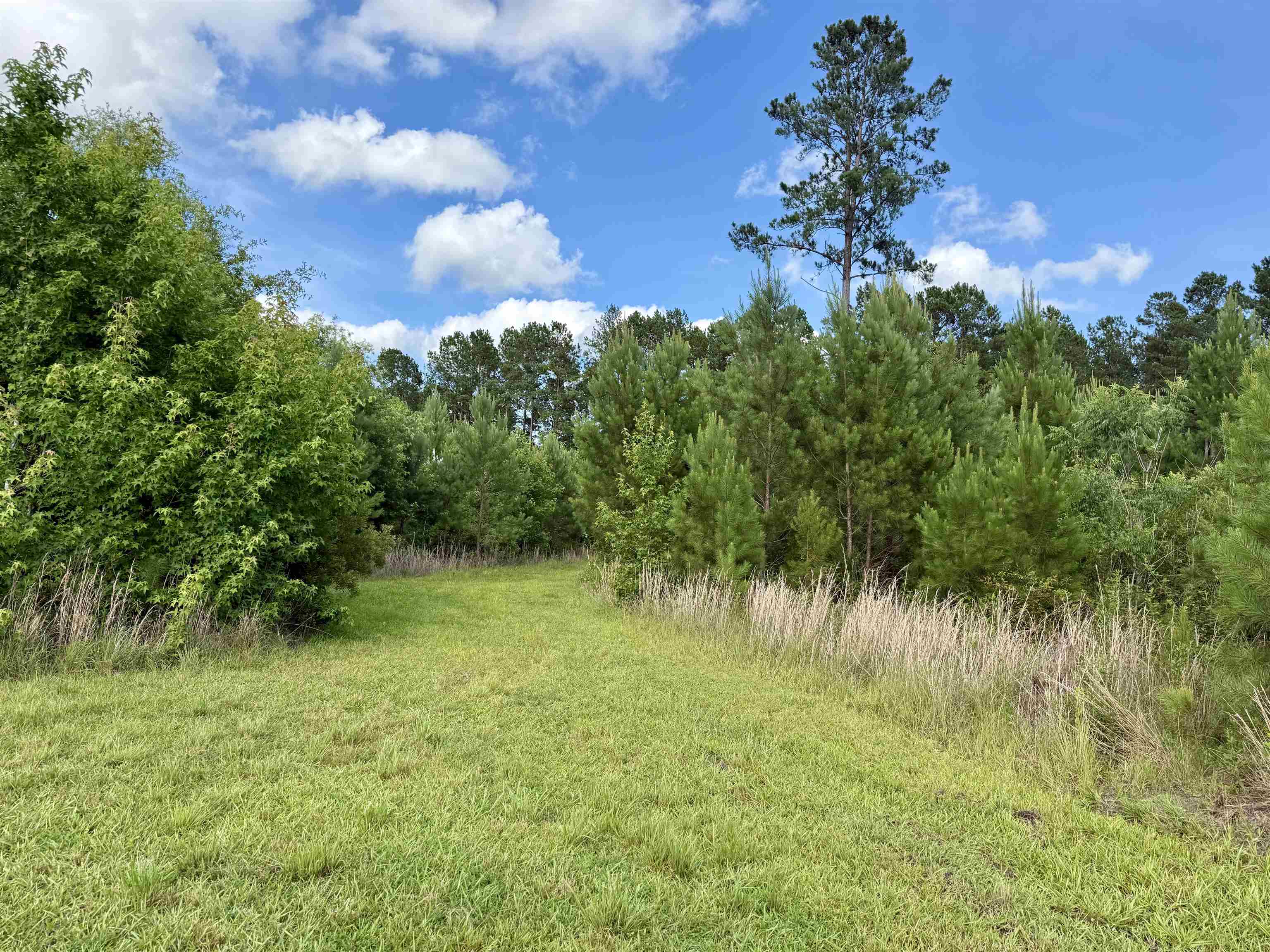 85± Acres - Muddy Creek Rd. Property Photo 9