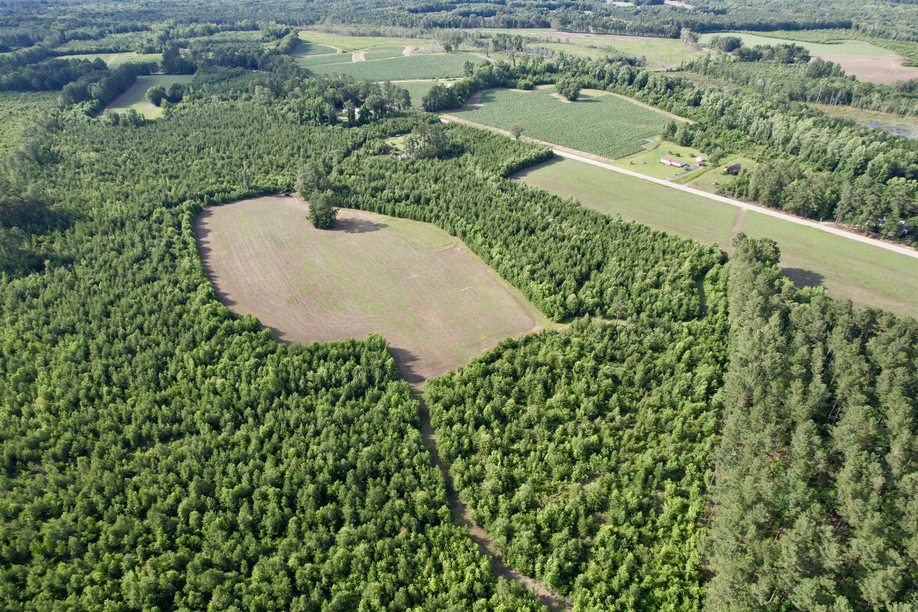 85± Acres - Muddy Creek Rd. Property Photo 15