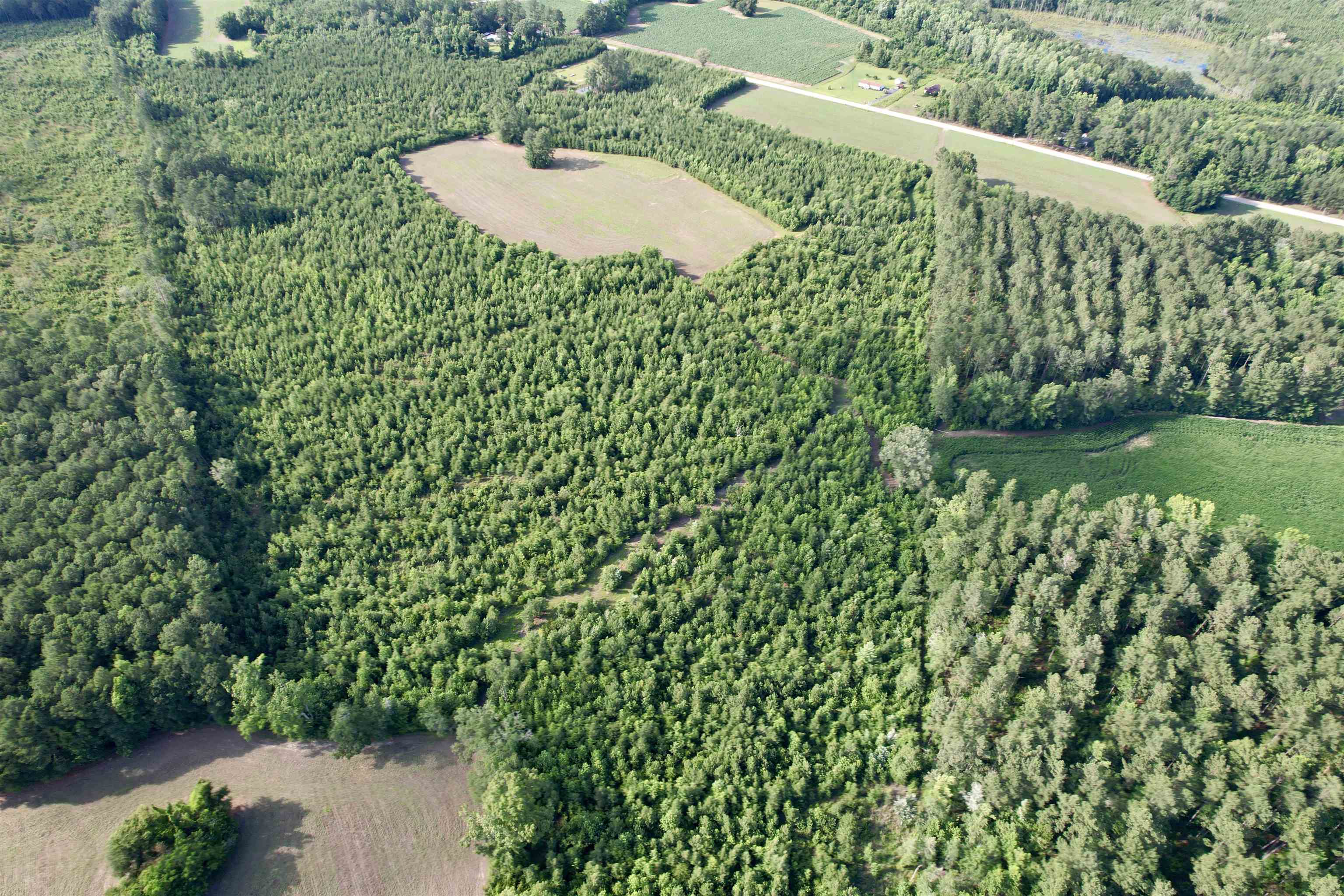 85± Acres - Muddy Creek Rd. Property Photo 16
