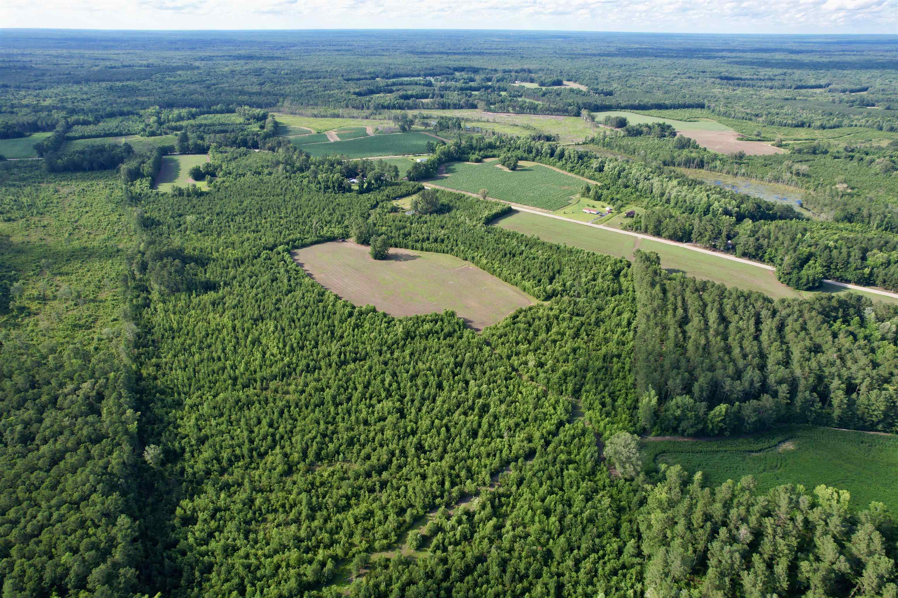 85± Acres - Muddy Creek Rd. Property Photo 17