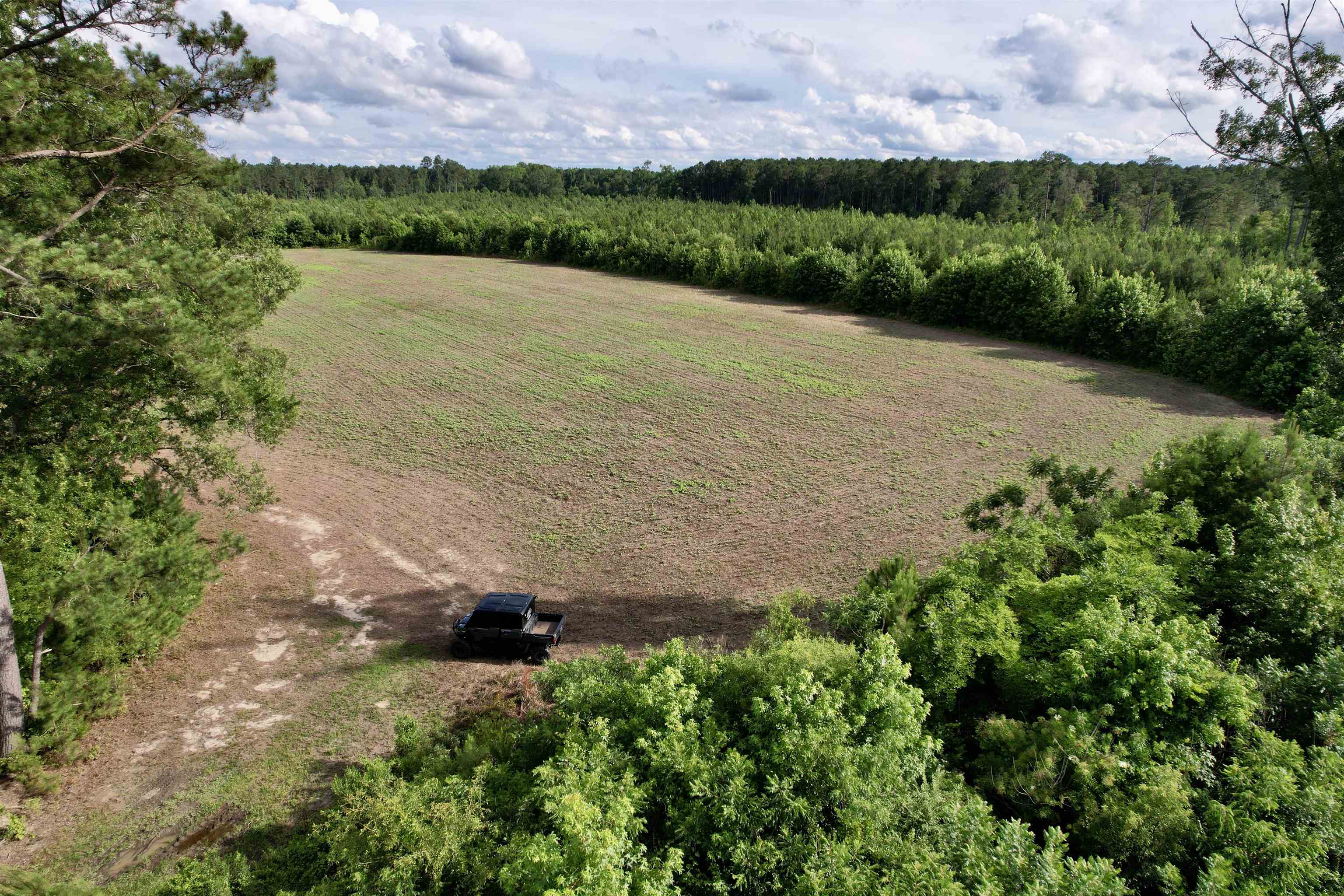 85± Acres - Muddy Creek Rd. Property Photo 18