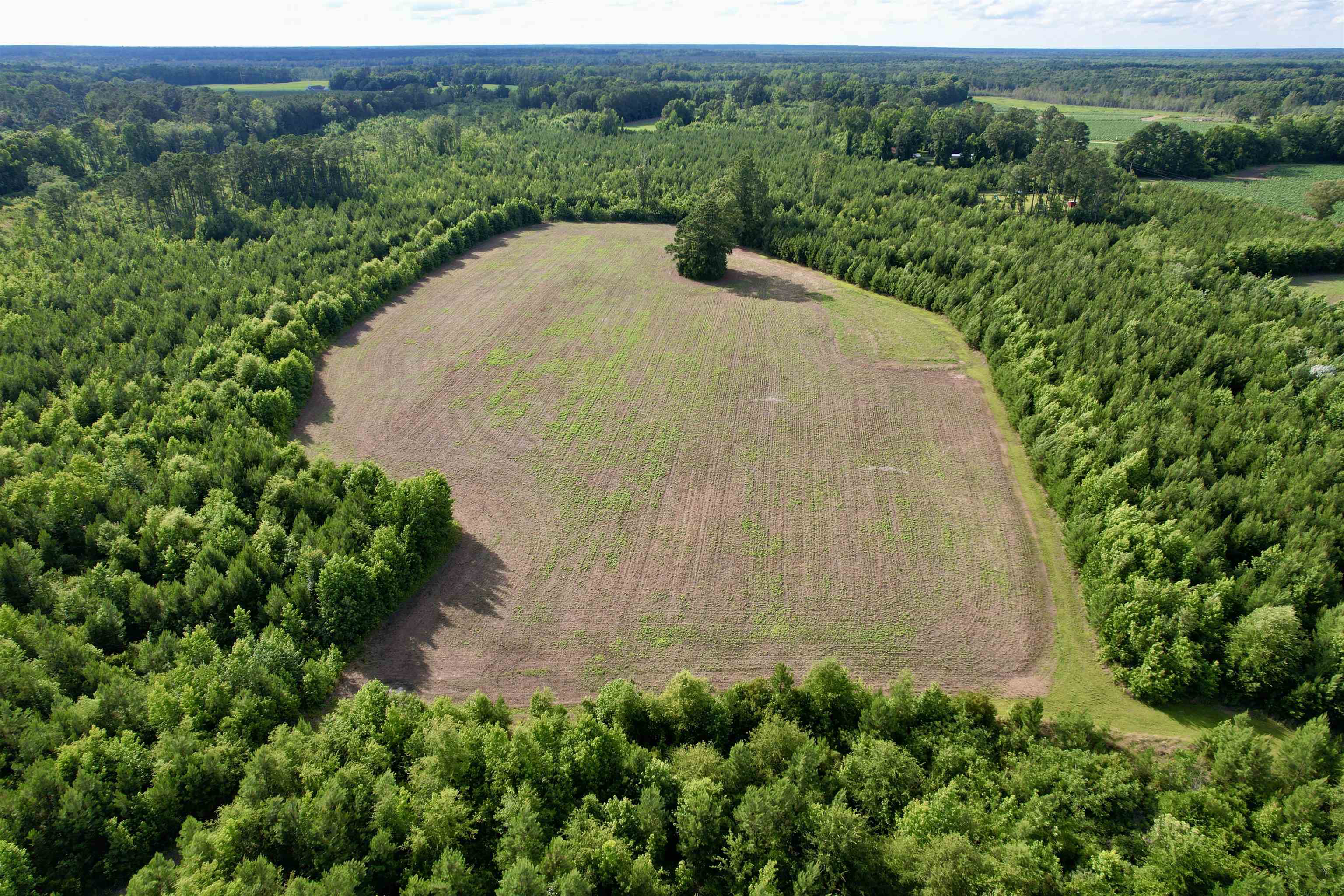 85± Acres - Muddy Creek Rd. Property Photo 20