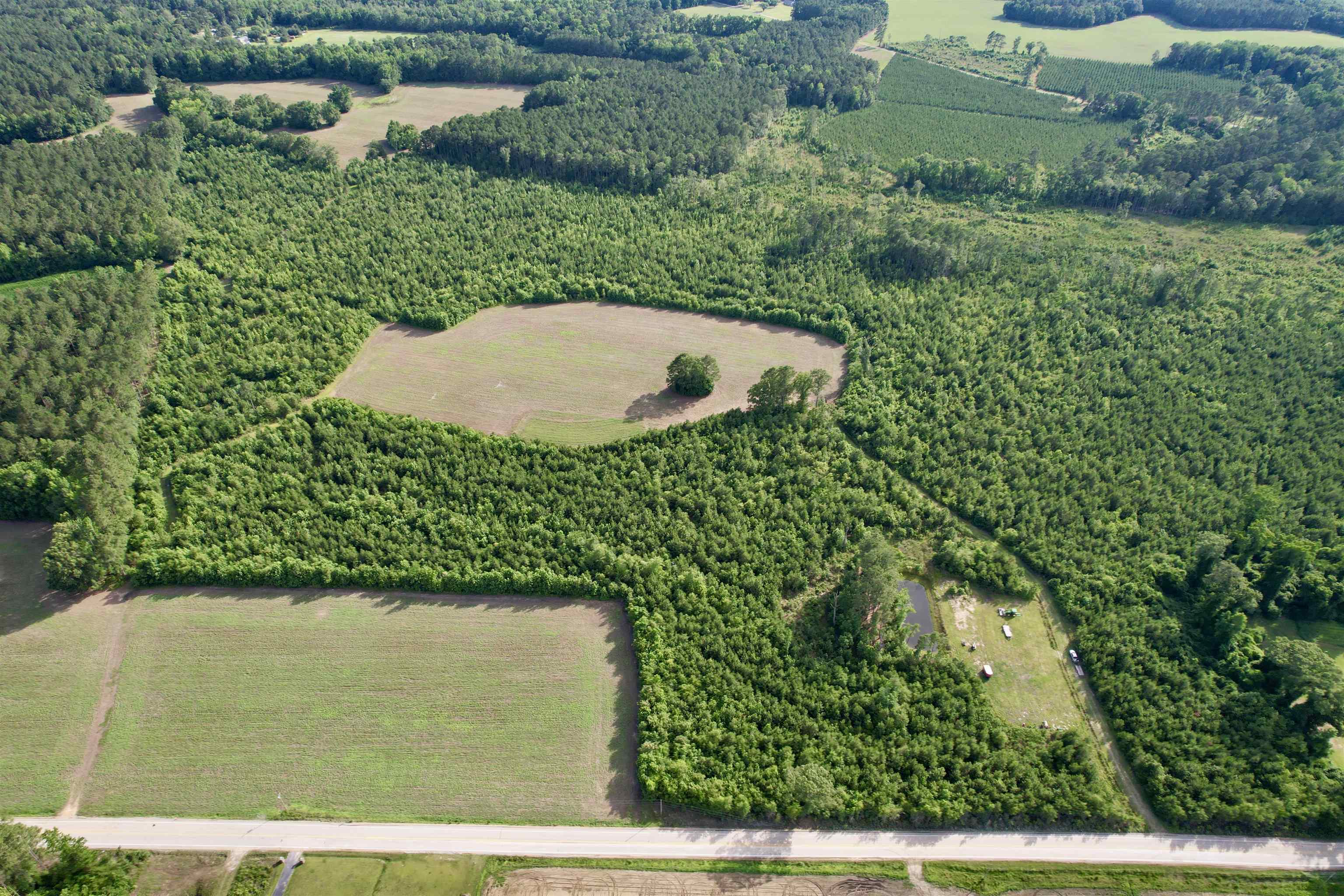 85± Acres - Muddy Creek Rd. Property Photo 21
