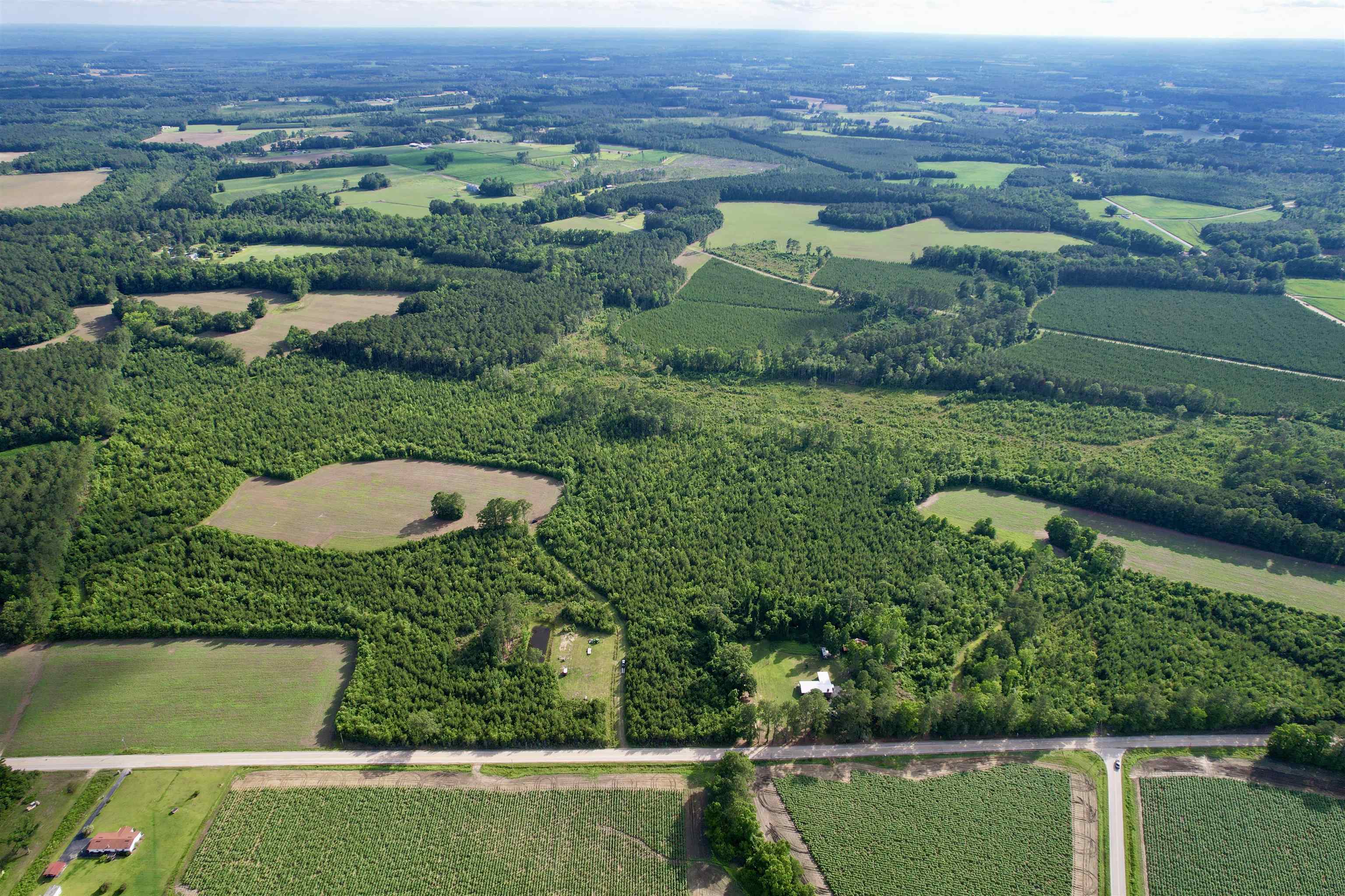 85± Acres - Muddy Creek Rd. Property Photo 22