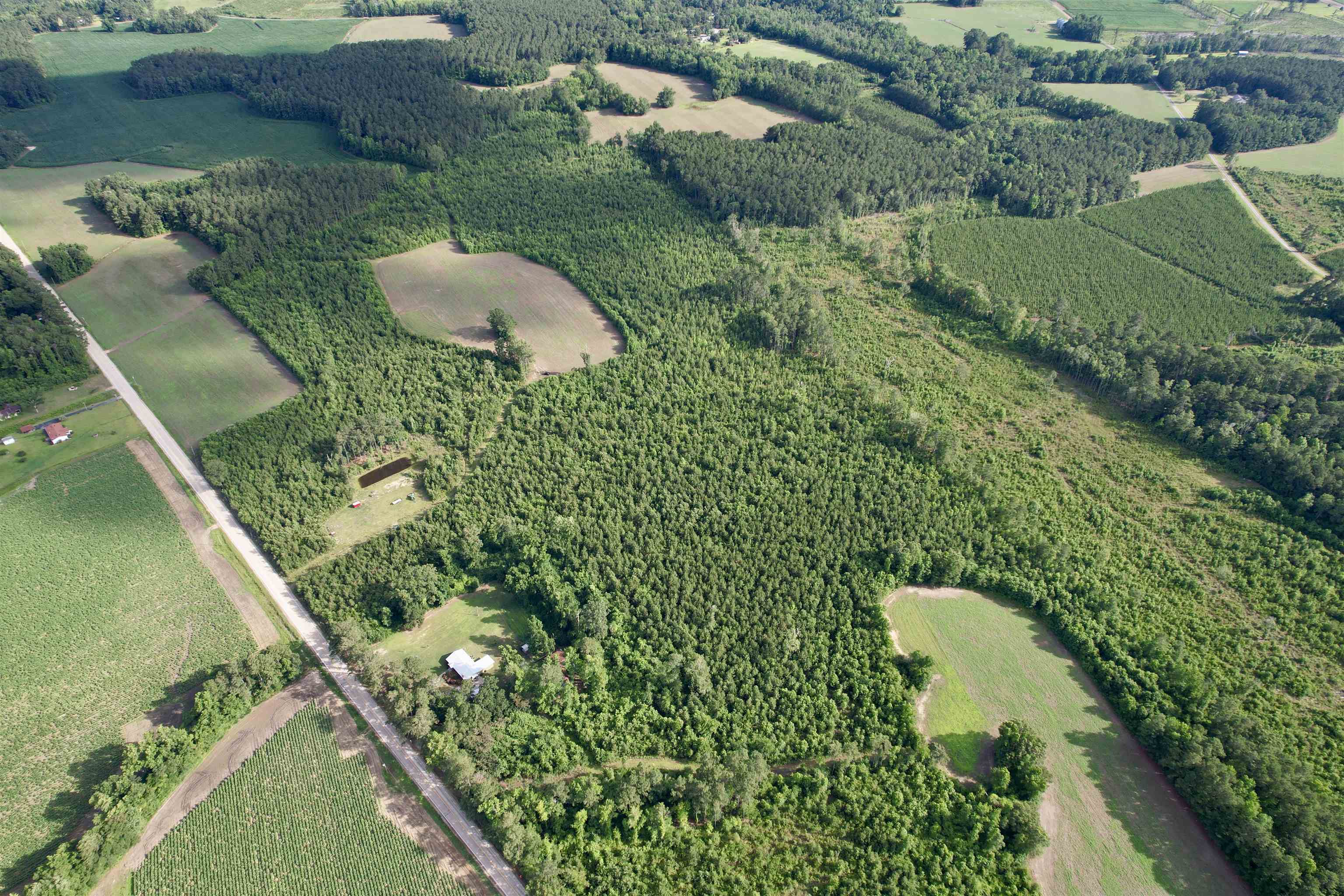 85± Acres - Muddy Creek Rd. Property Photo 23