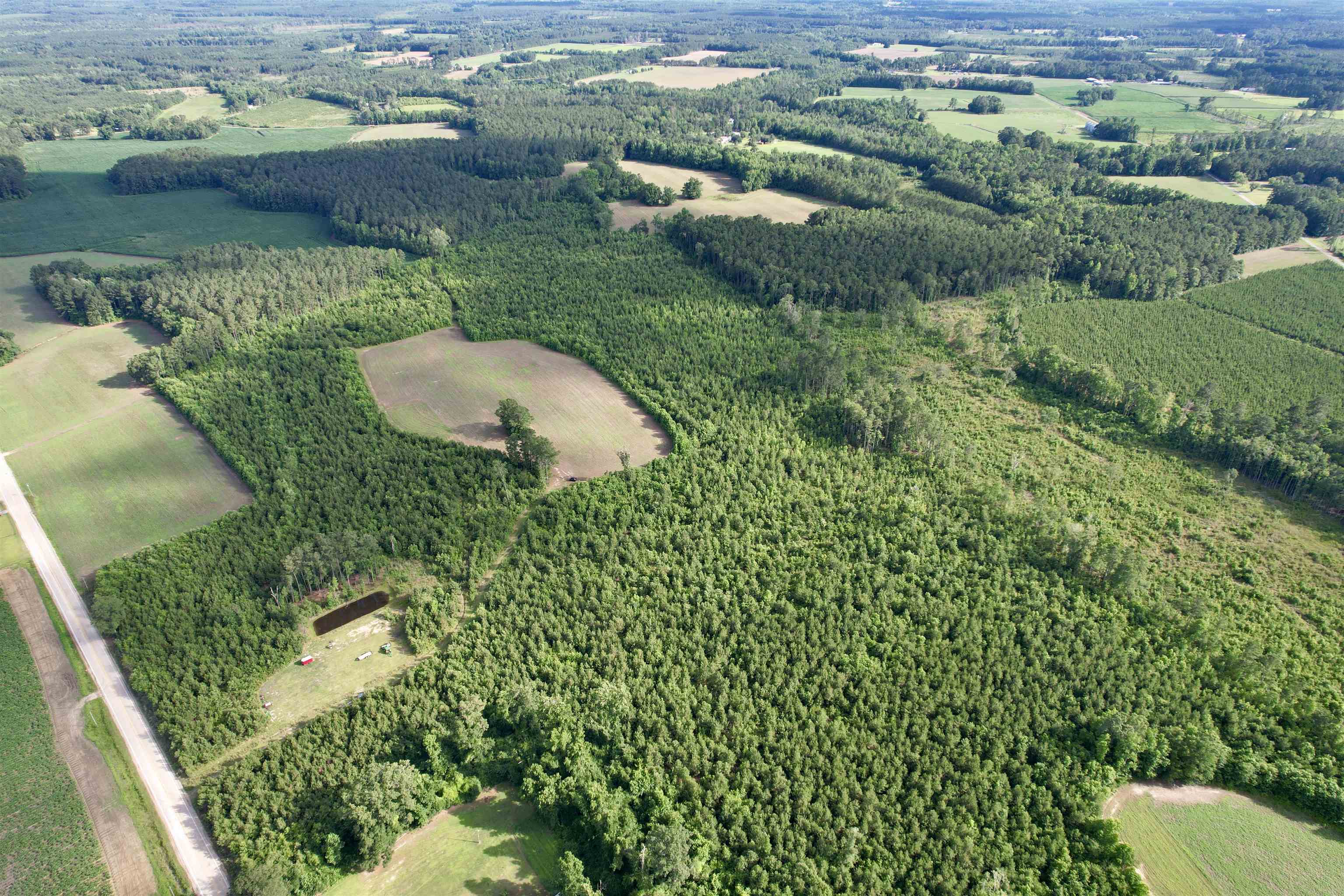 85± Acres - Muddy Creek Rd. Property Photo 24