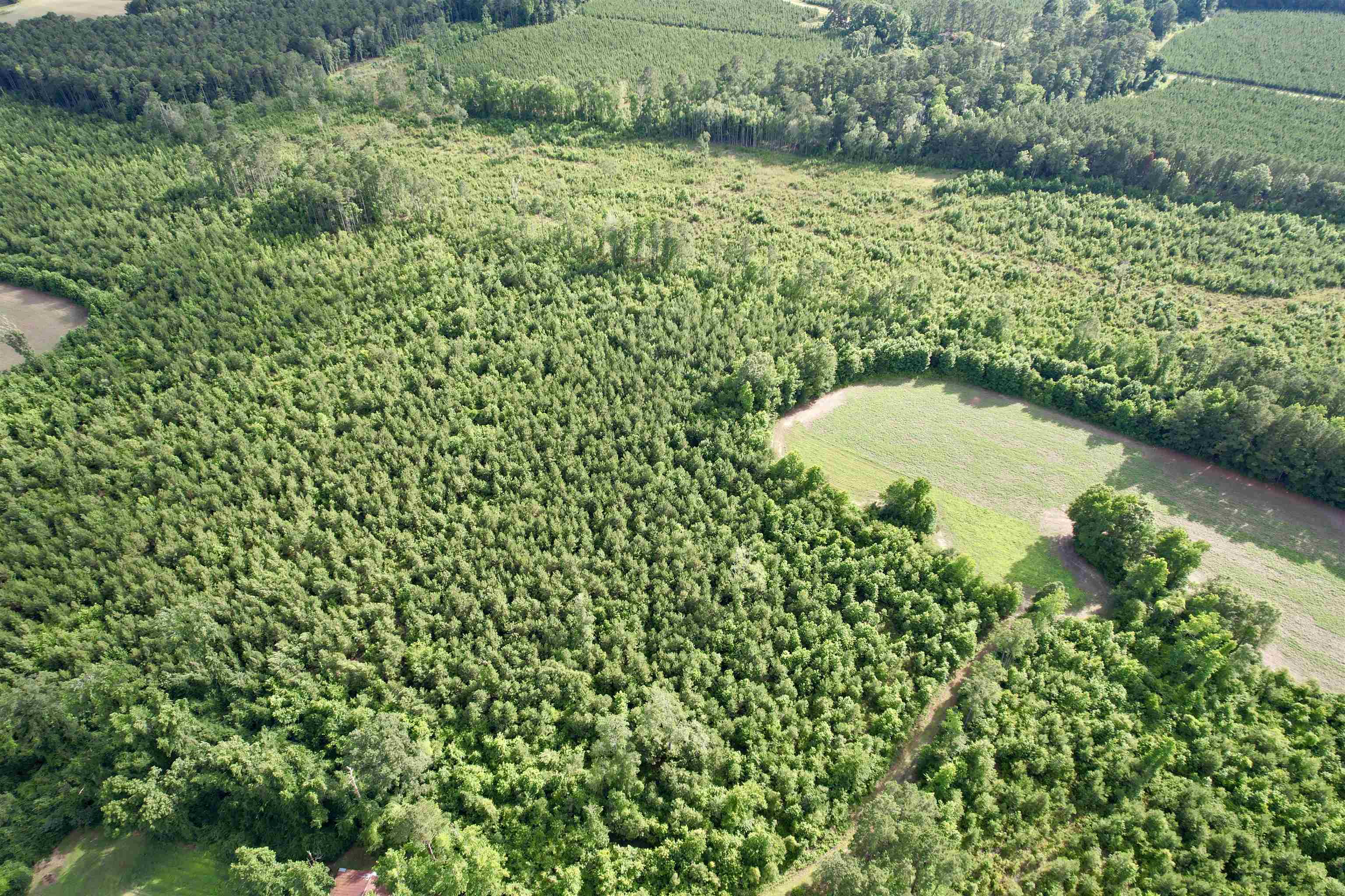 85± Acres - Muddy Creek Rd. Property Photo 25