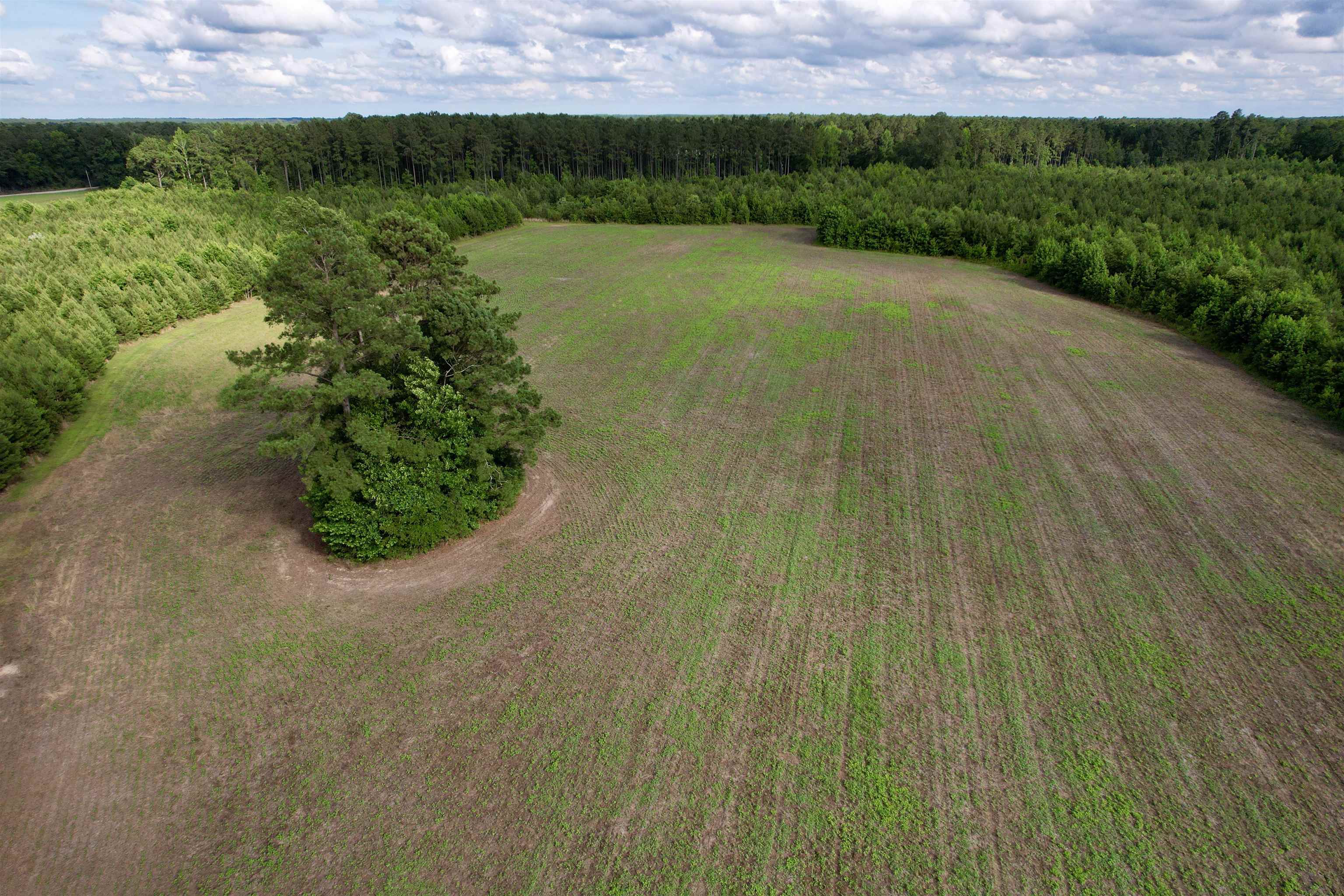 85± Acres - Muddy Creek Rd. Property Photo 26
