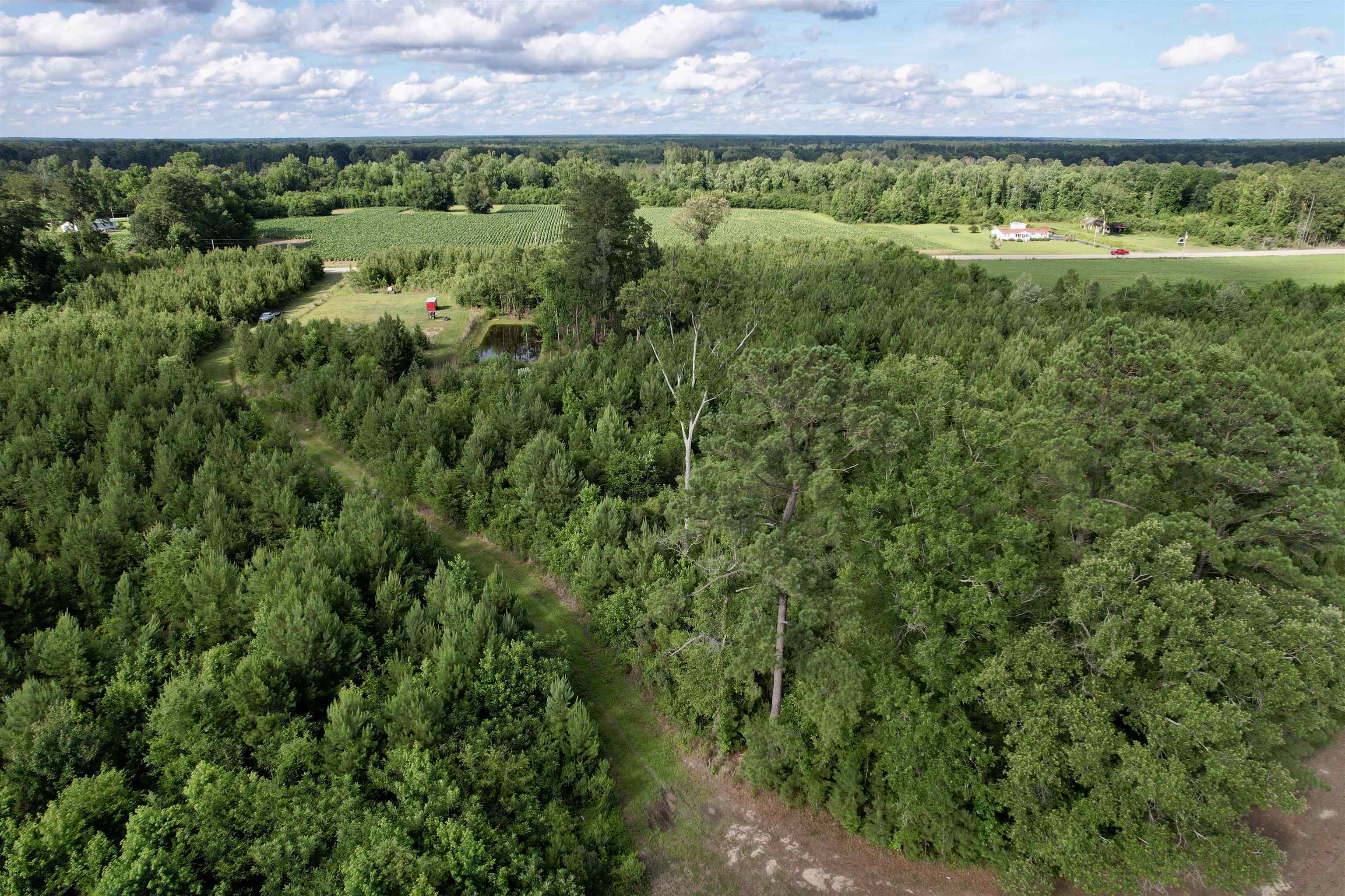 85± Acres - Muddy Creek Rd. Property Photo 27