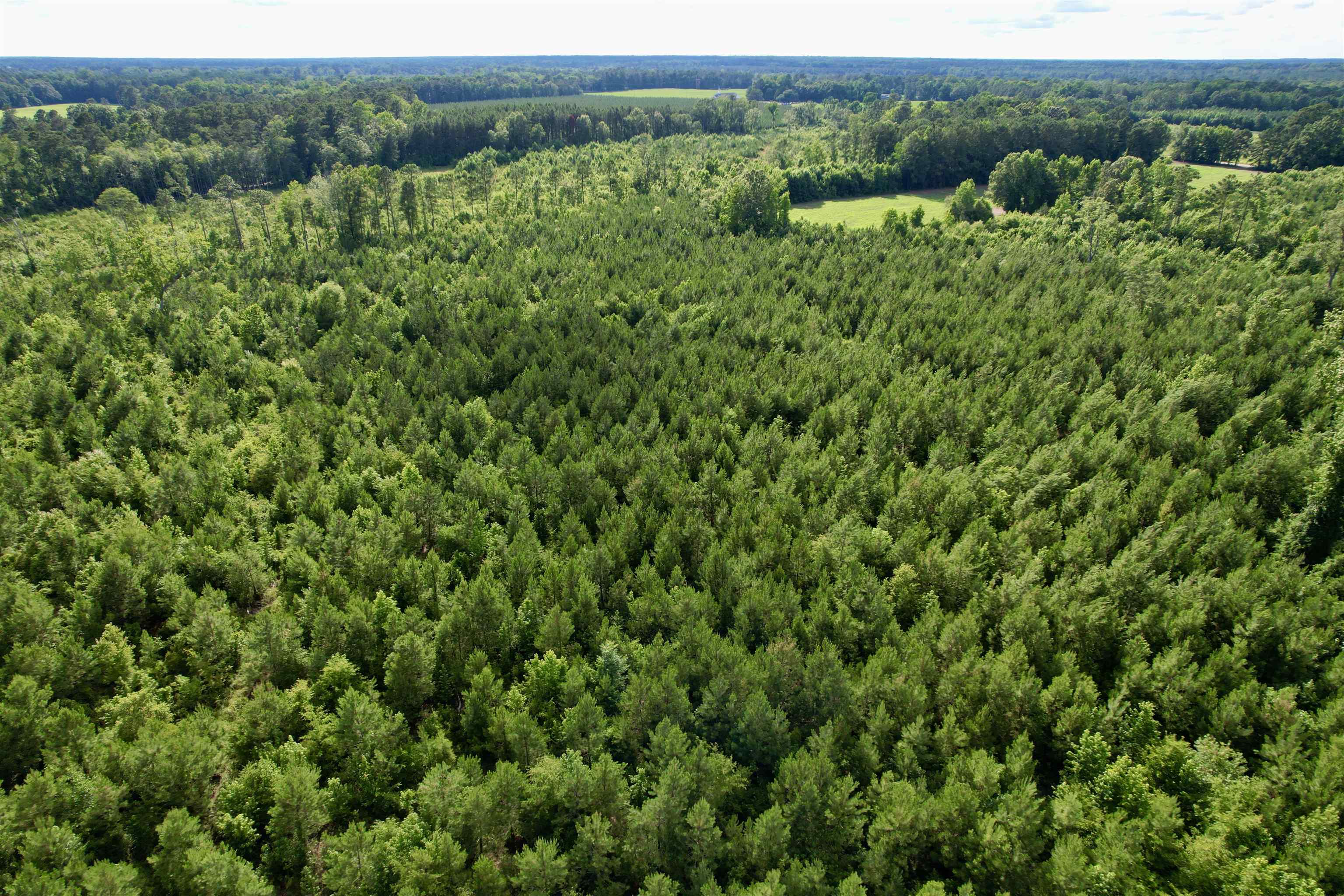 85± Acres - Muddy Creek Rd. Property Photo 29
