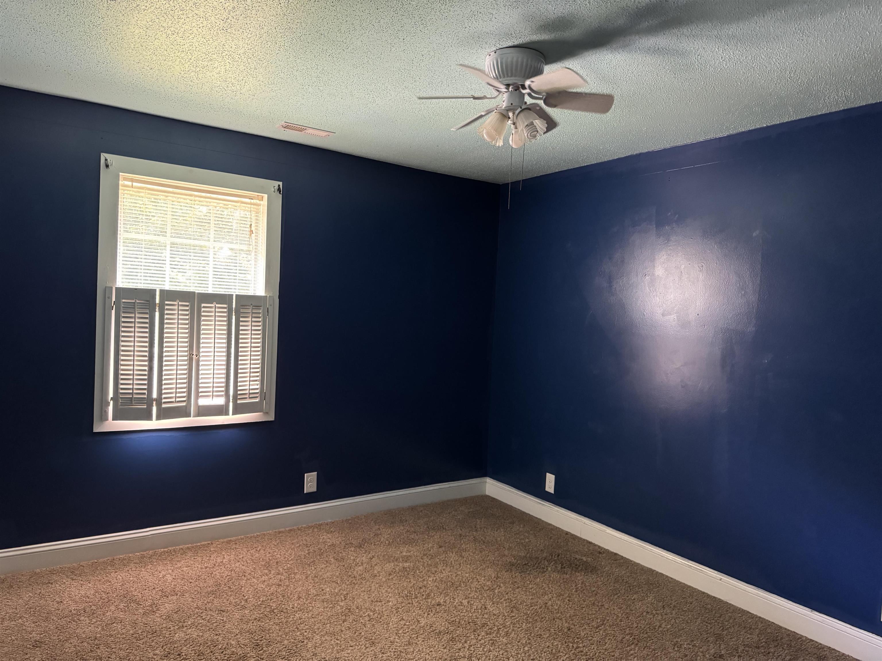98 Wolf Dr. Property Photo 19
