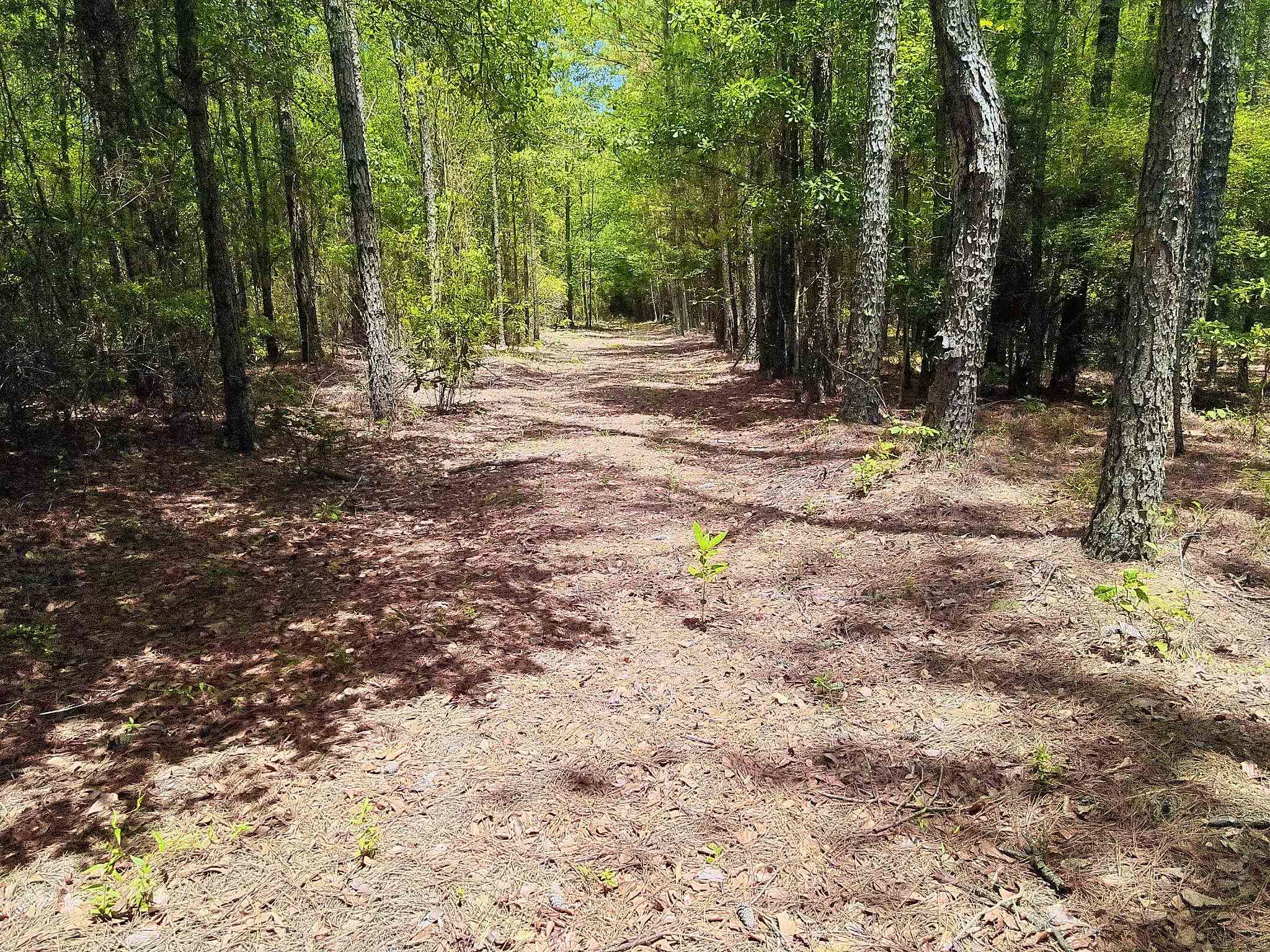 3435 Highway 430 Property Photo 5