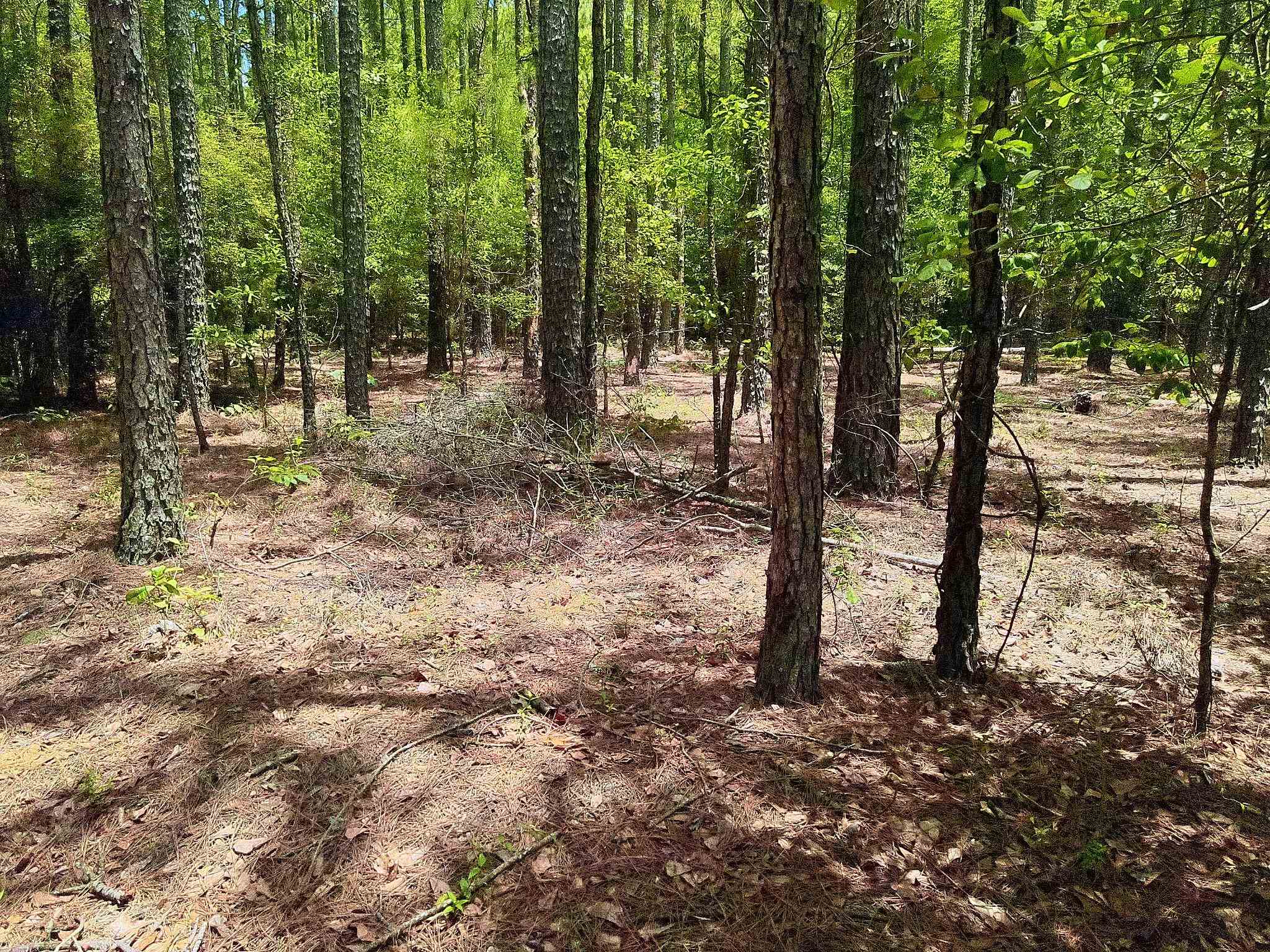 3435 Highway 430 Property Photo 6