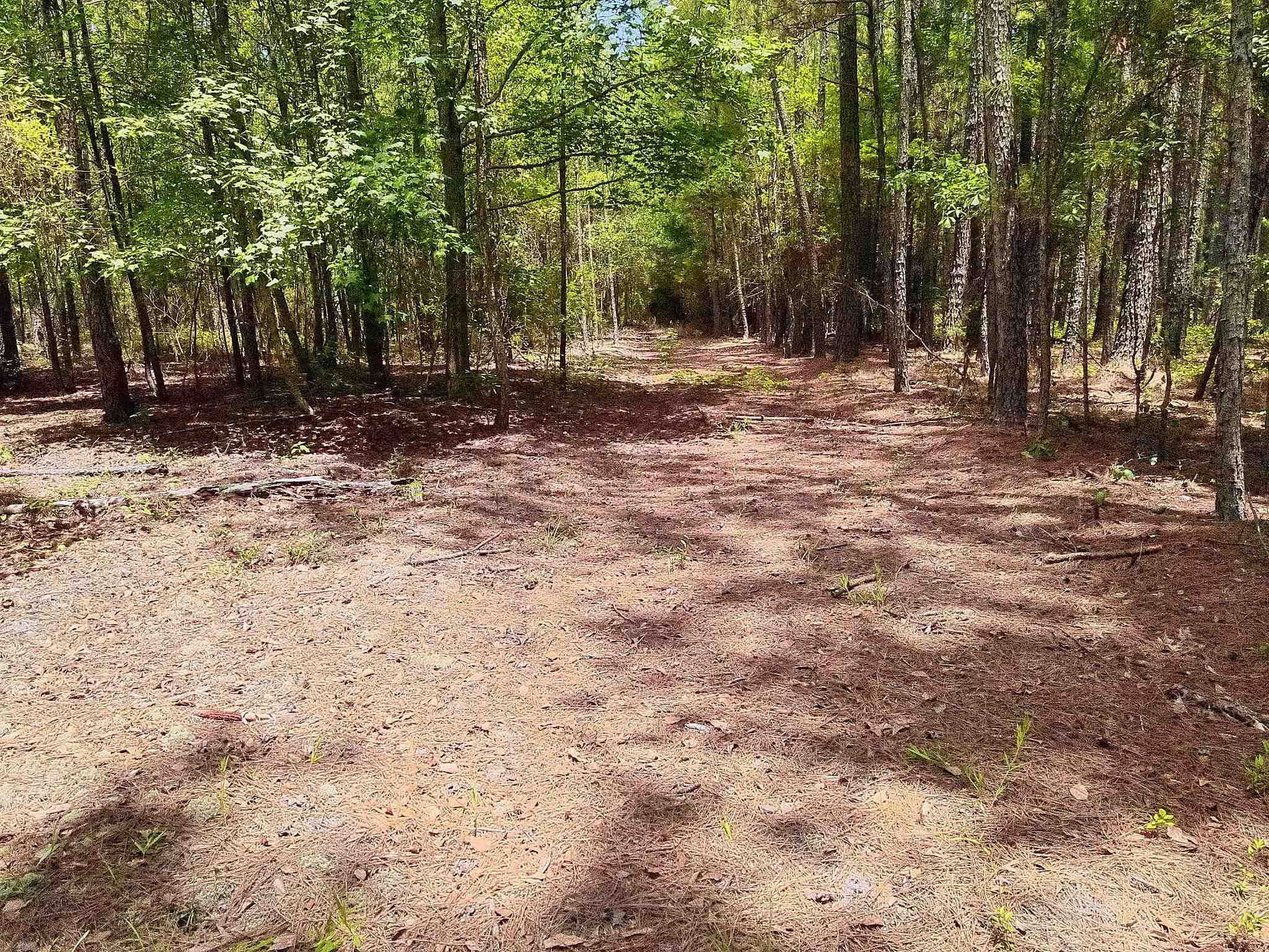 3435 Highway 430 Property Photo 7