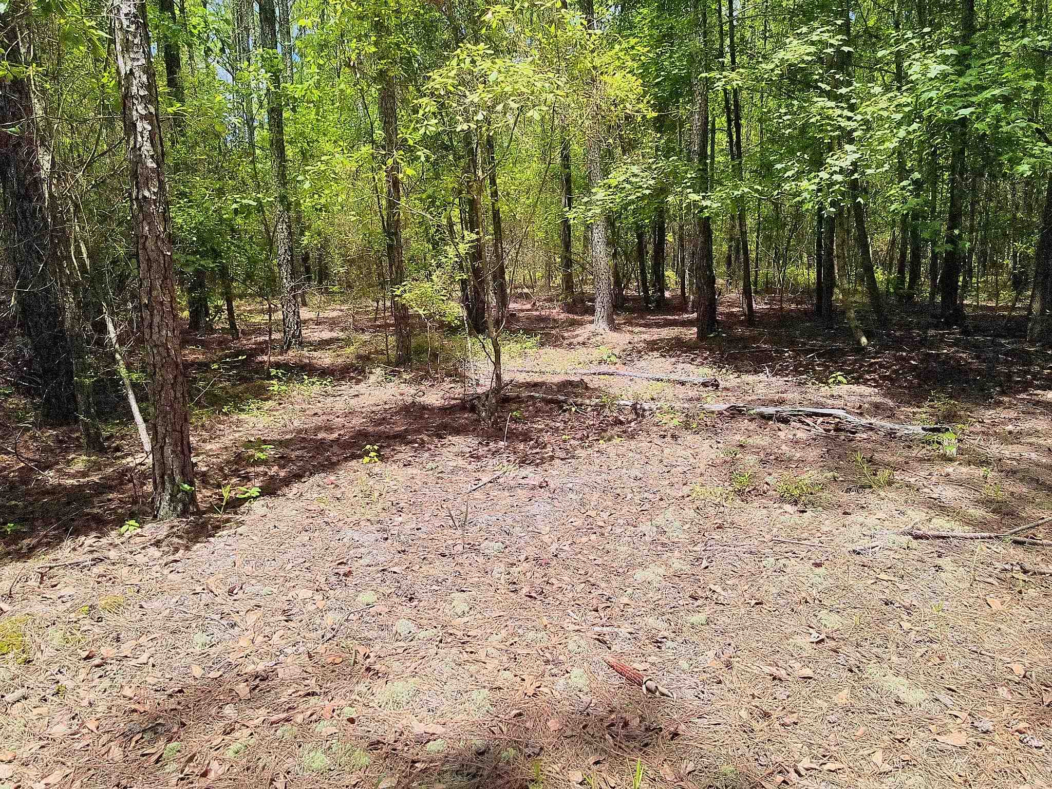 3435 Highway 430 Property Photo 8